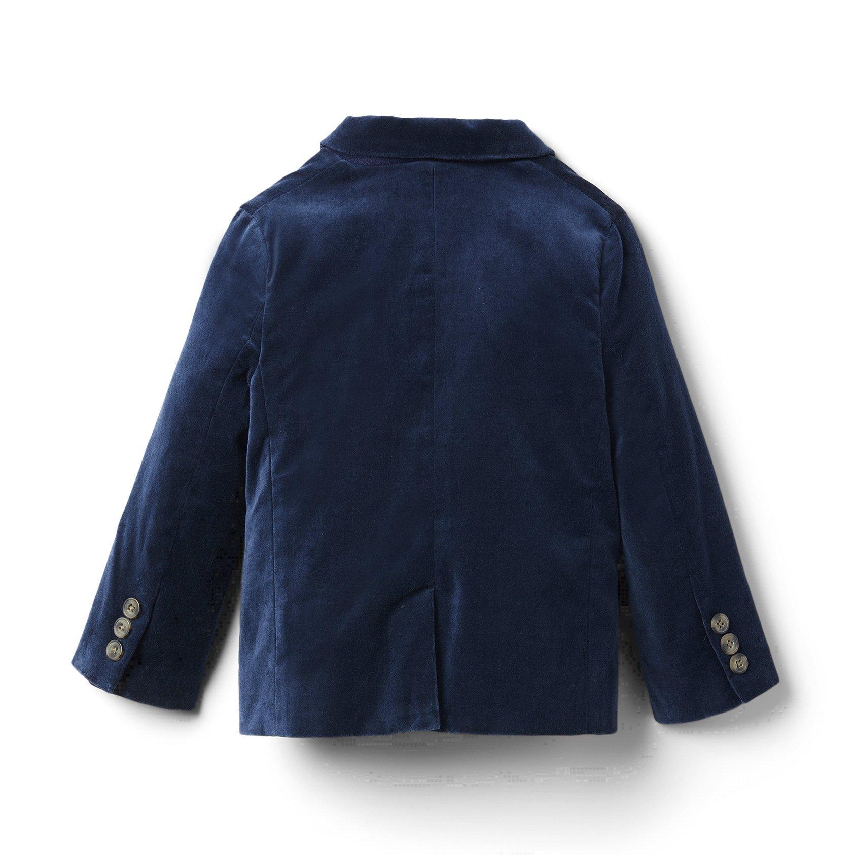 Velvet Blazer image number 3