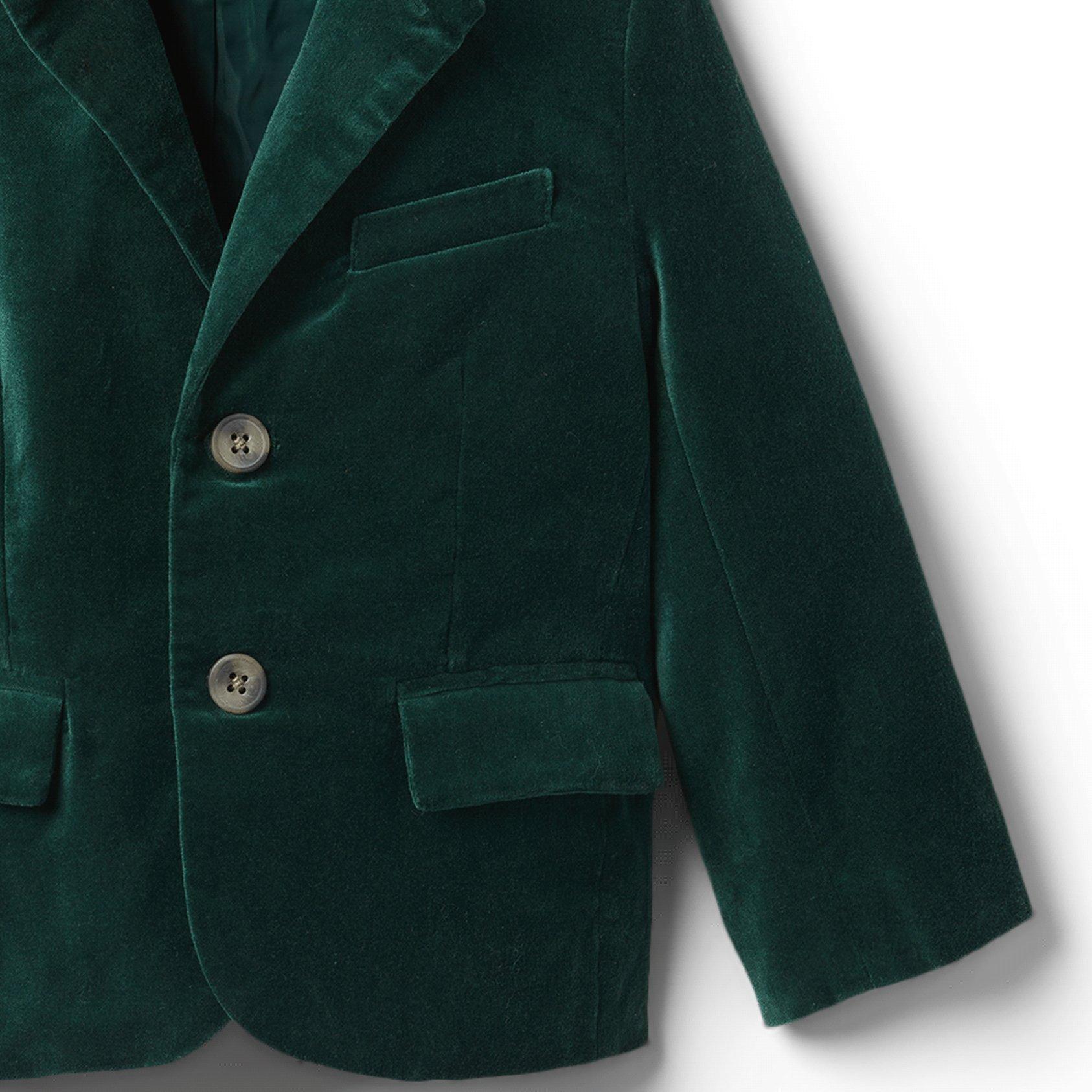 Velvet Blazer image number 2