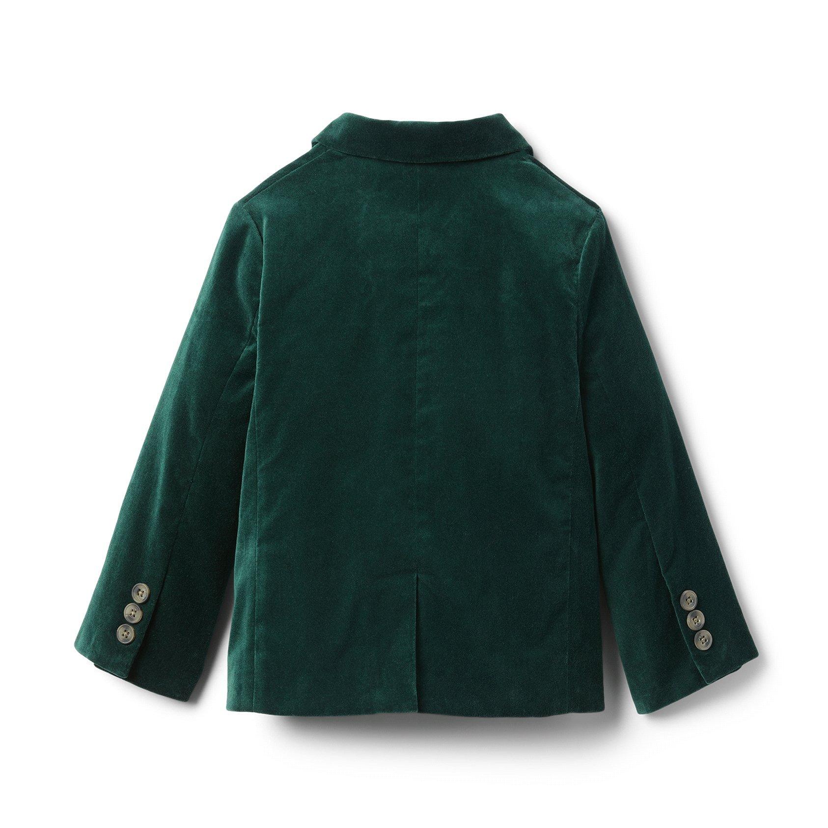 Velvet Blazer image number 1
