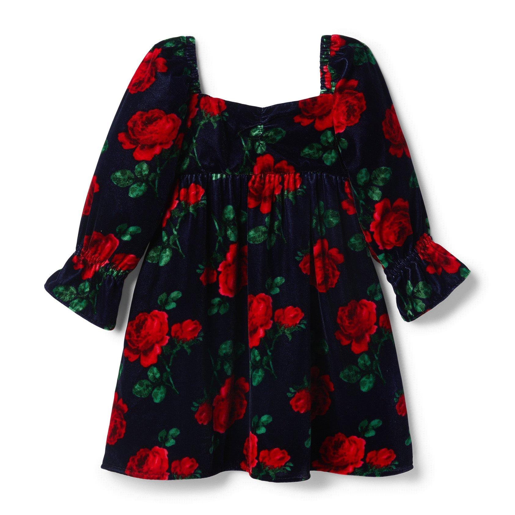 Rose Velvet Dress image number 0