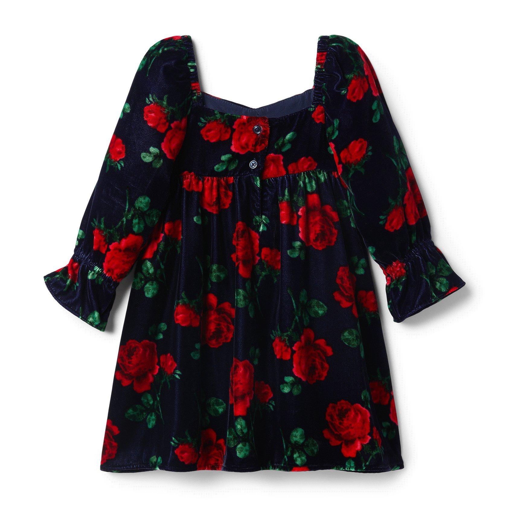 Rose Velvet Dress image number 4