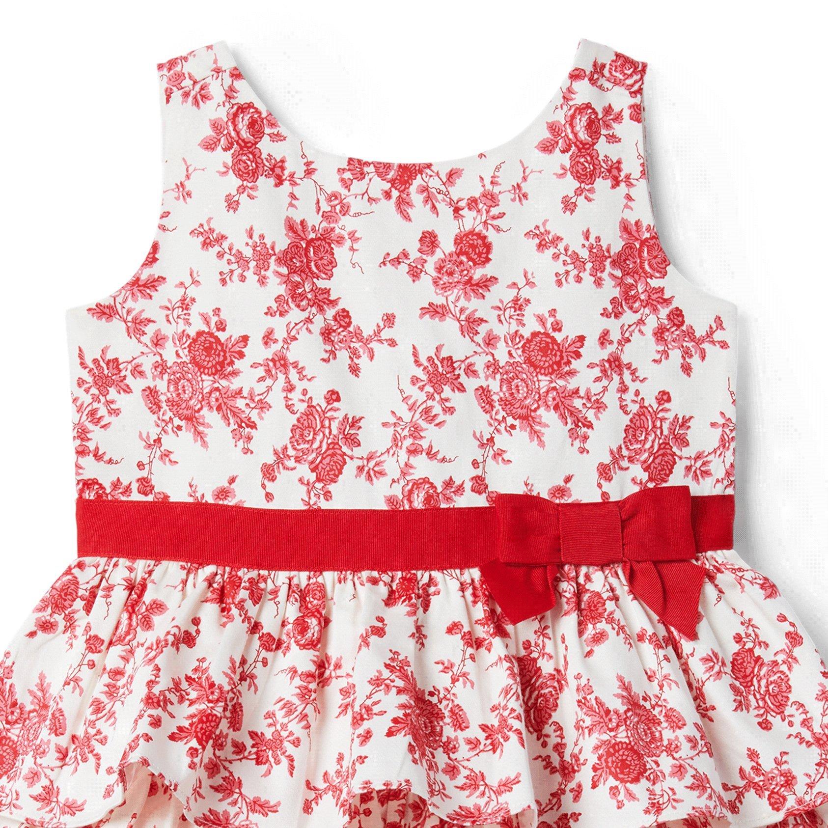Toile Ruffle Dress image number 1
