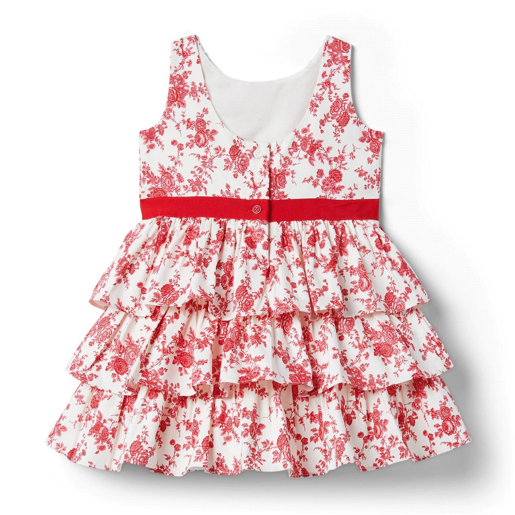 Toile Ruffle Dress image number 2
