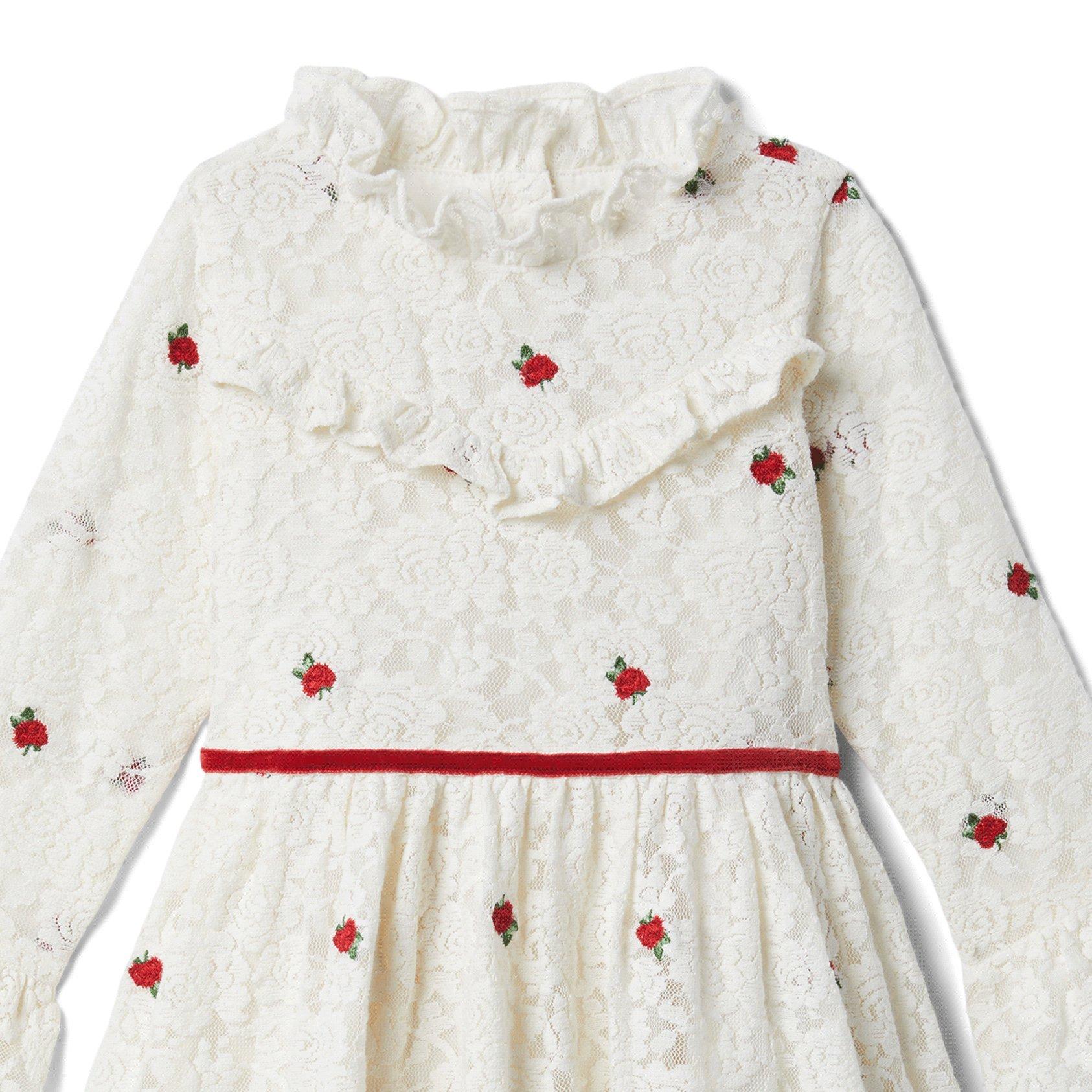 Lace Rose Embroidered Dress image number 1