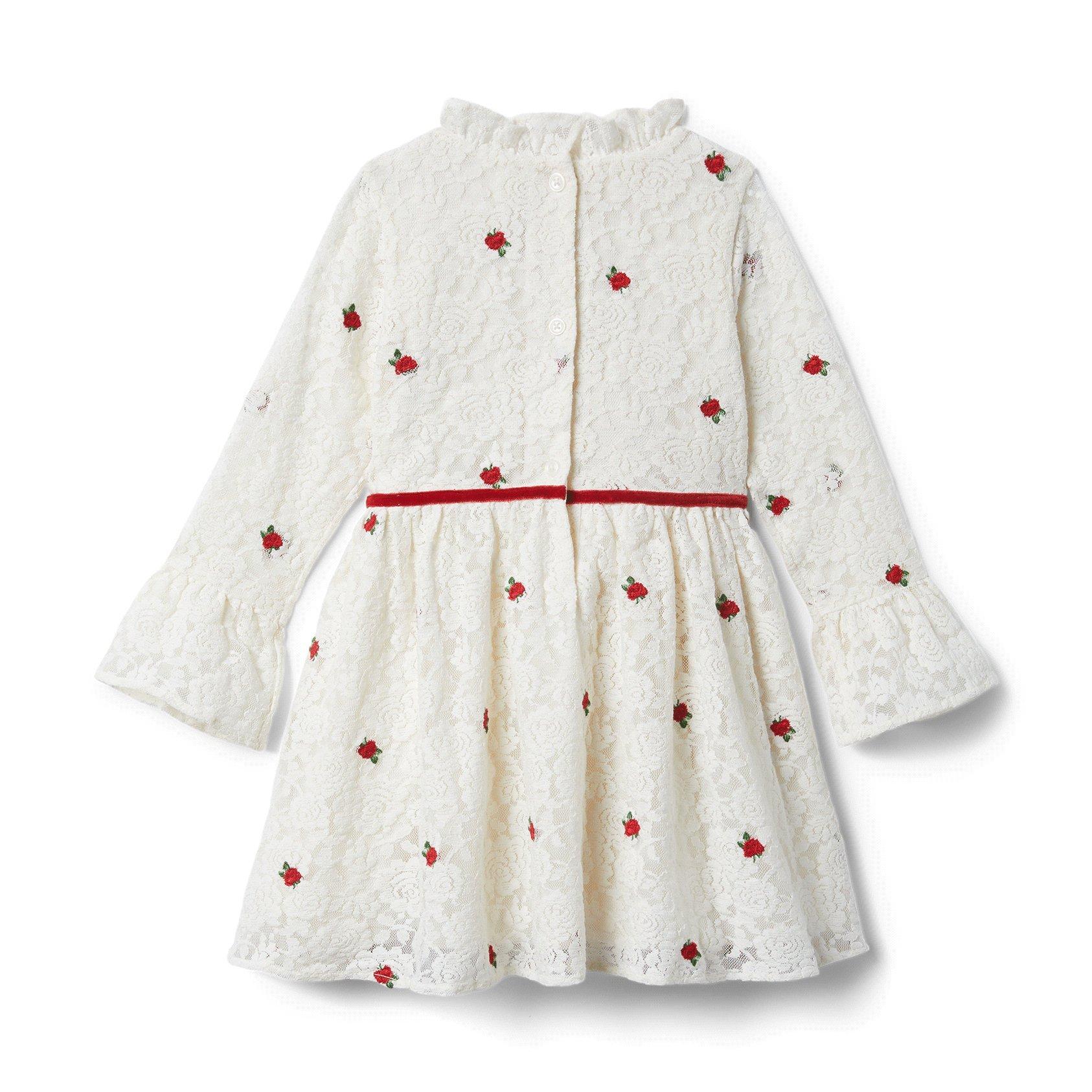 Lace Rose Embroidered Dress image number 3