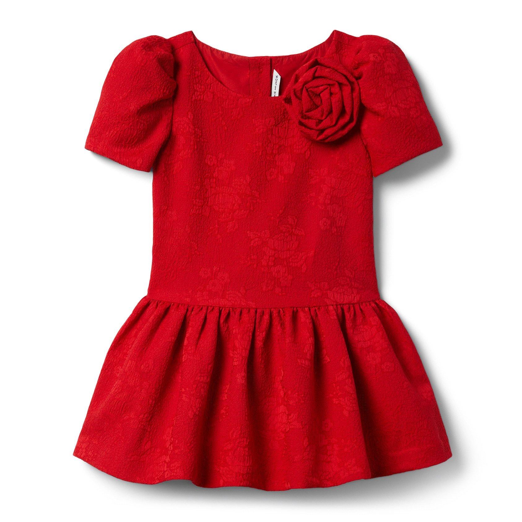 Rose Jacquard Dropwaist Dress image number 0