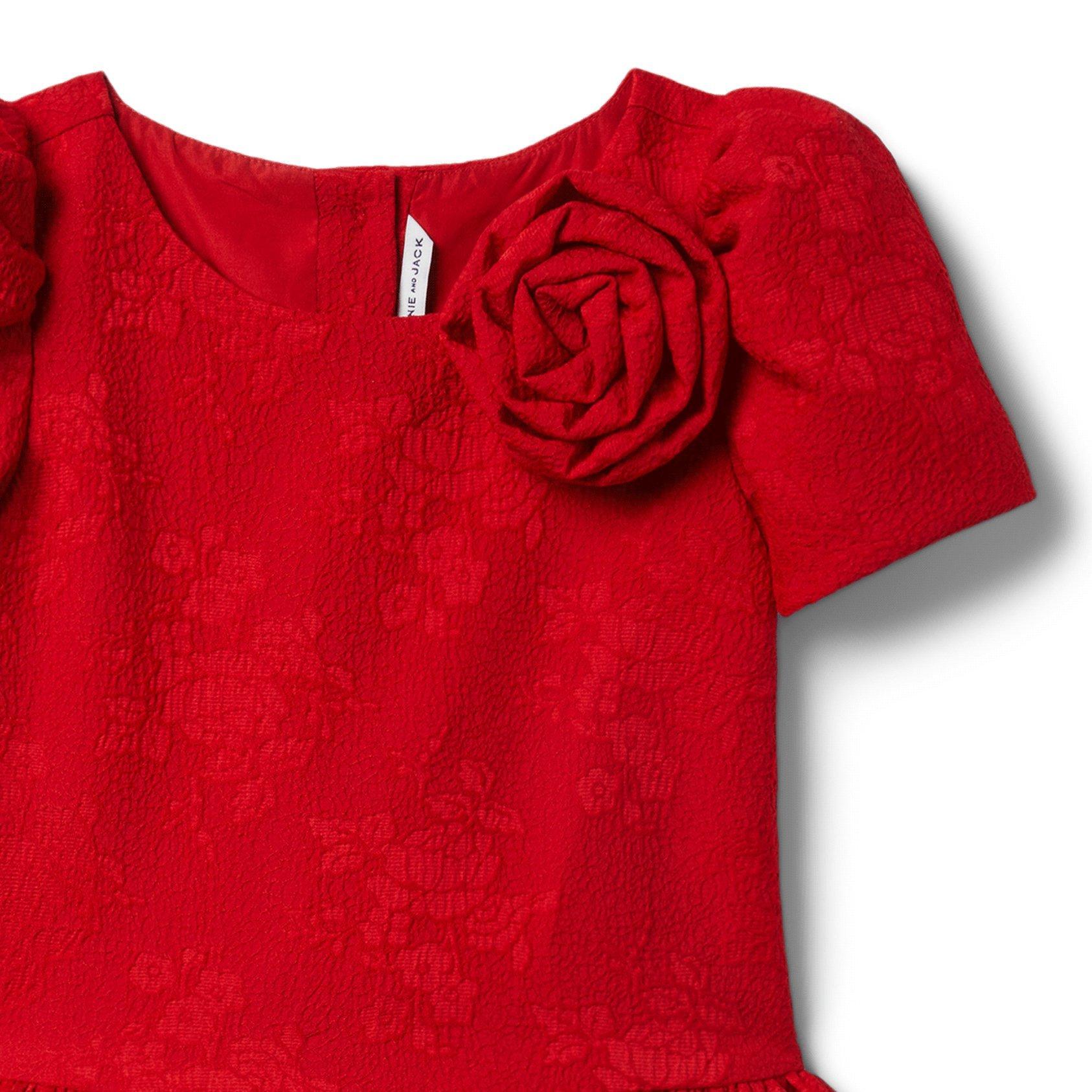 Rose Jacquard Dropwaist Dress image number 2