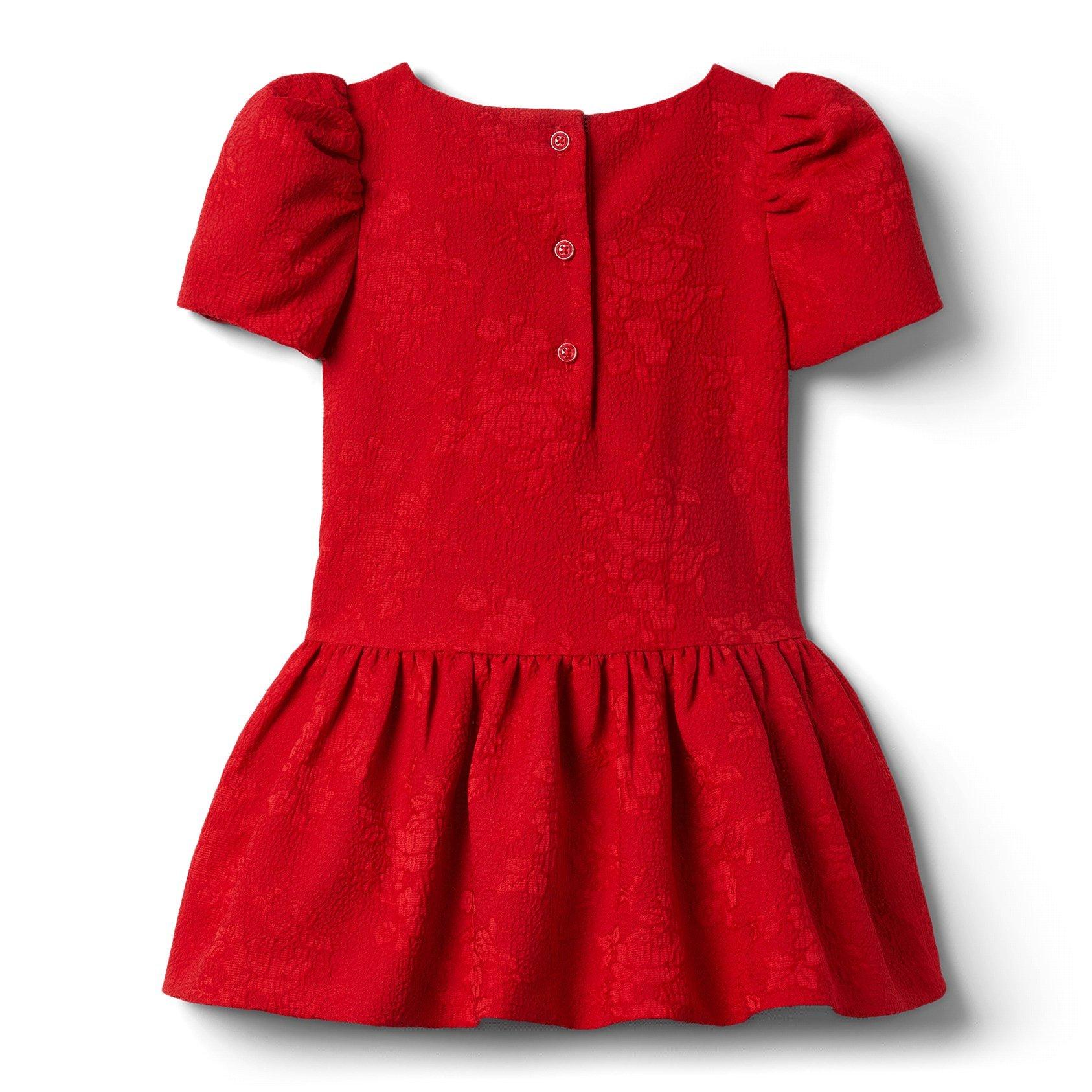 Rose Jacquard Dropwaist Dress image number 1
