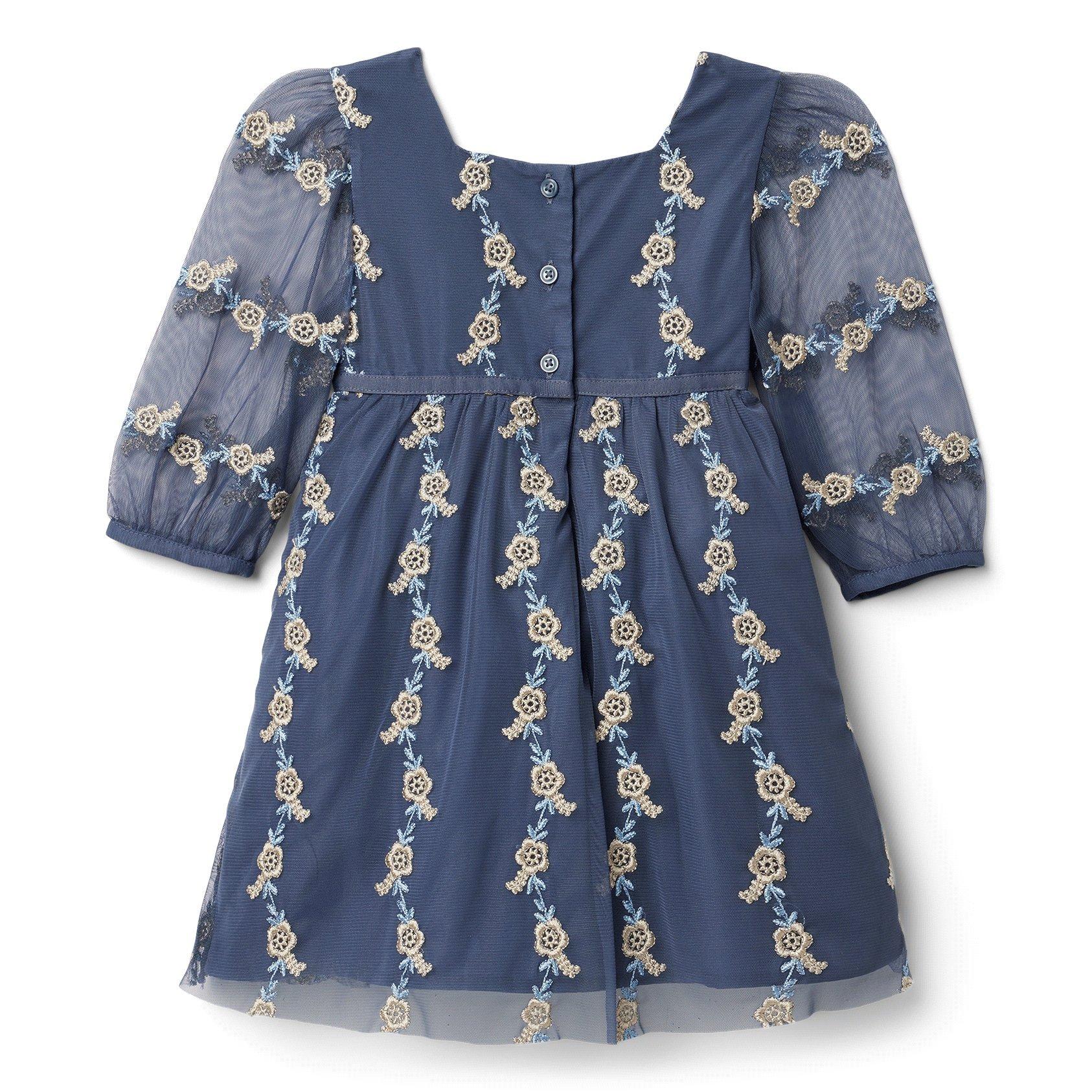 Floral Embroidered Dress image number 1