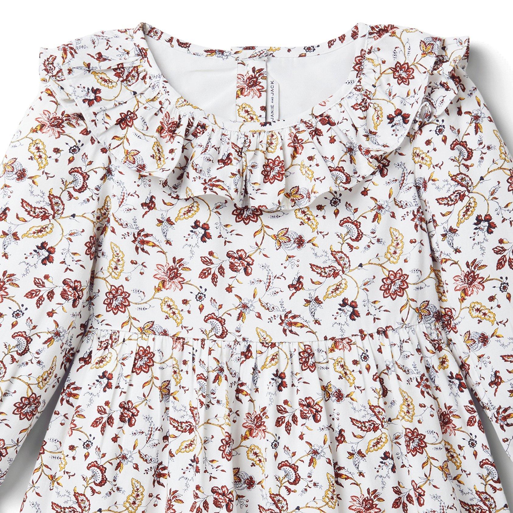 Floral Ruffle Collar Dress image number 1