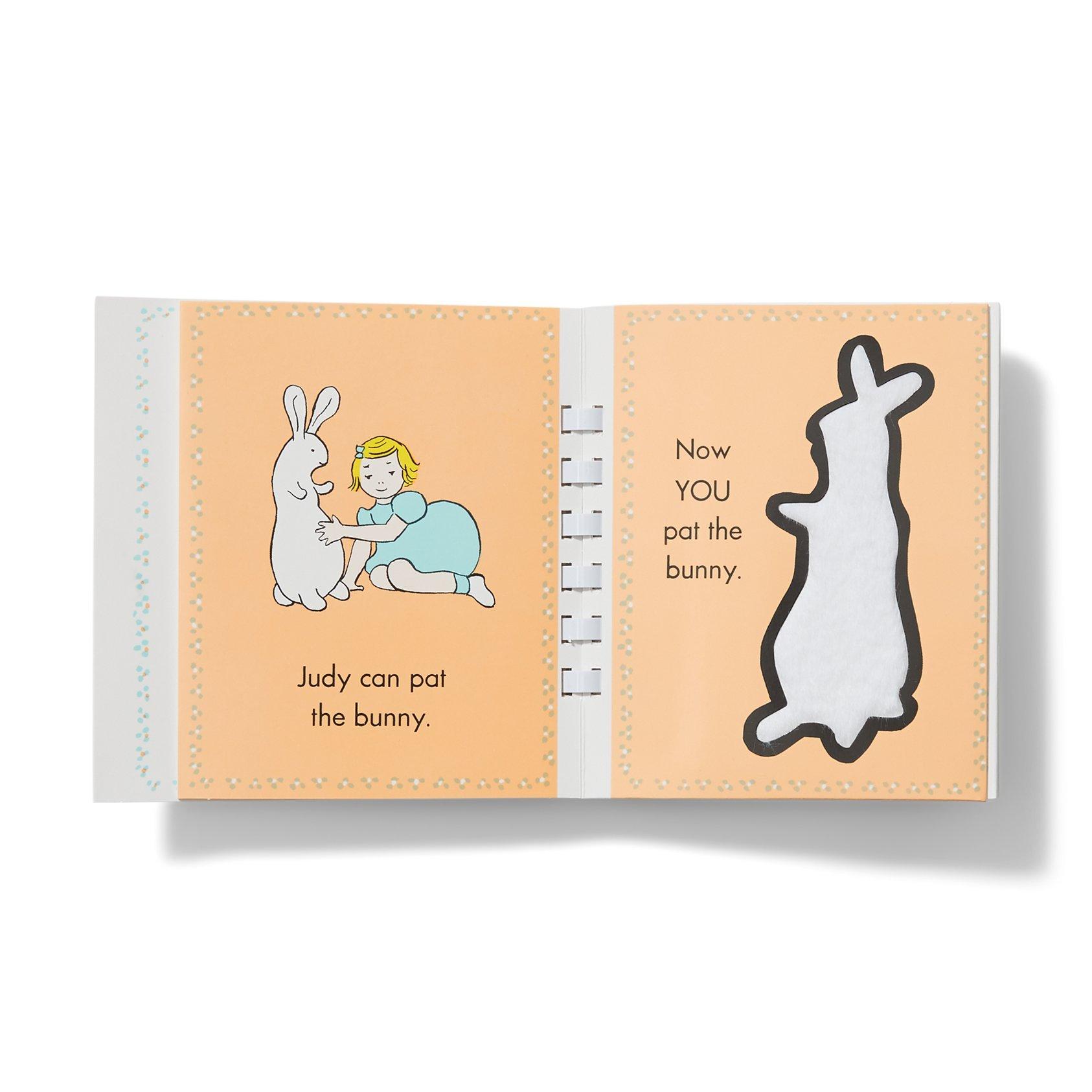 Pat The Bunny Book image number 1