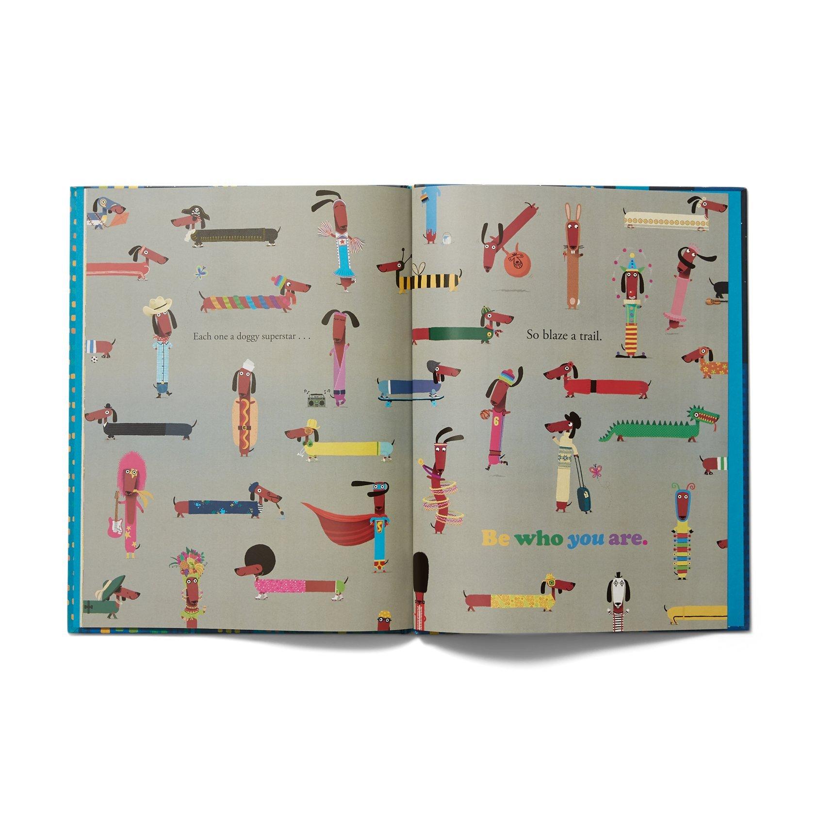 Odd Dog Out Book image number 1