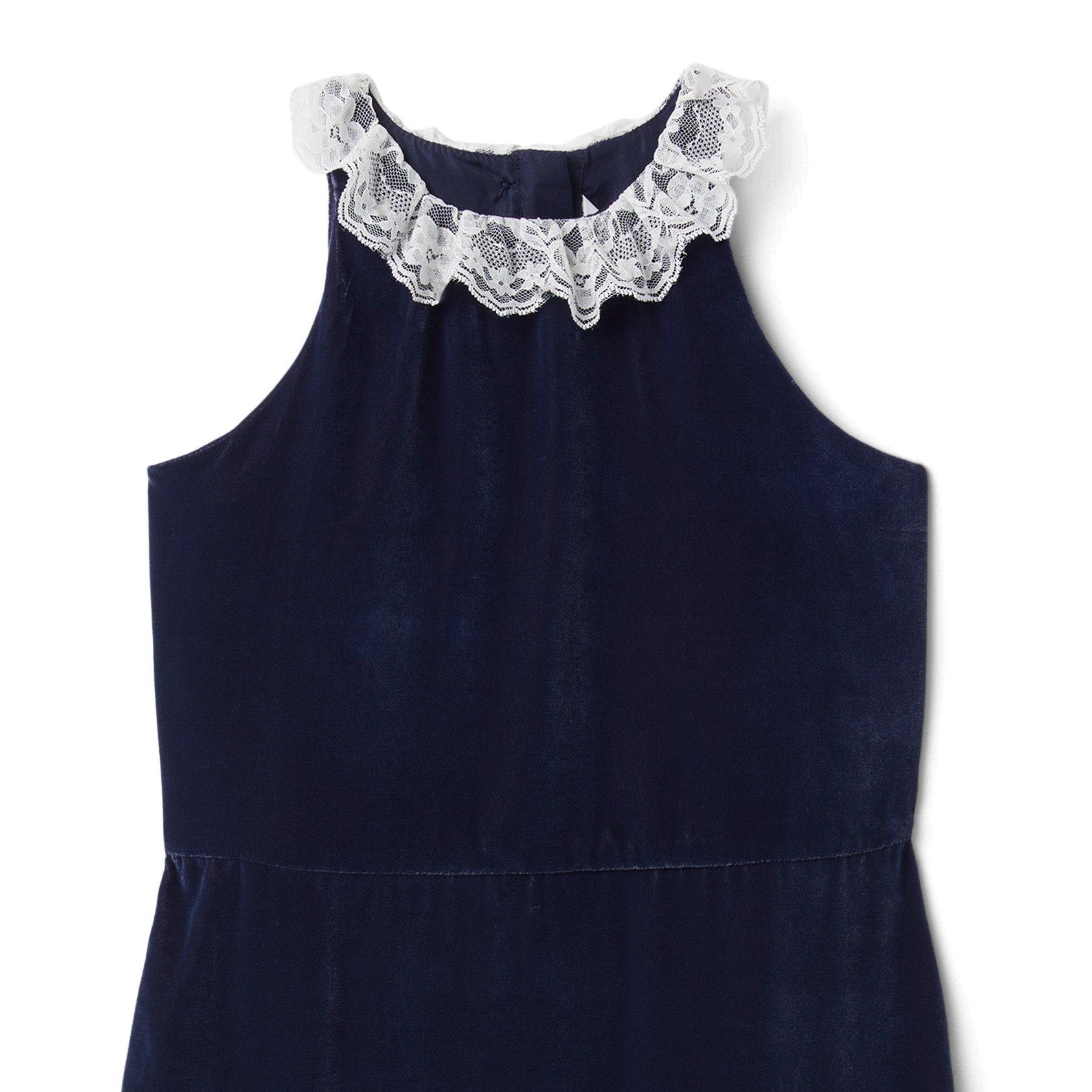 Velvet Lace Collar Dress image number 1
