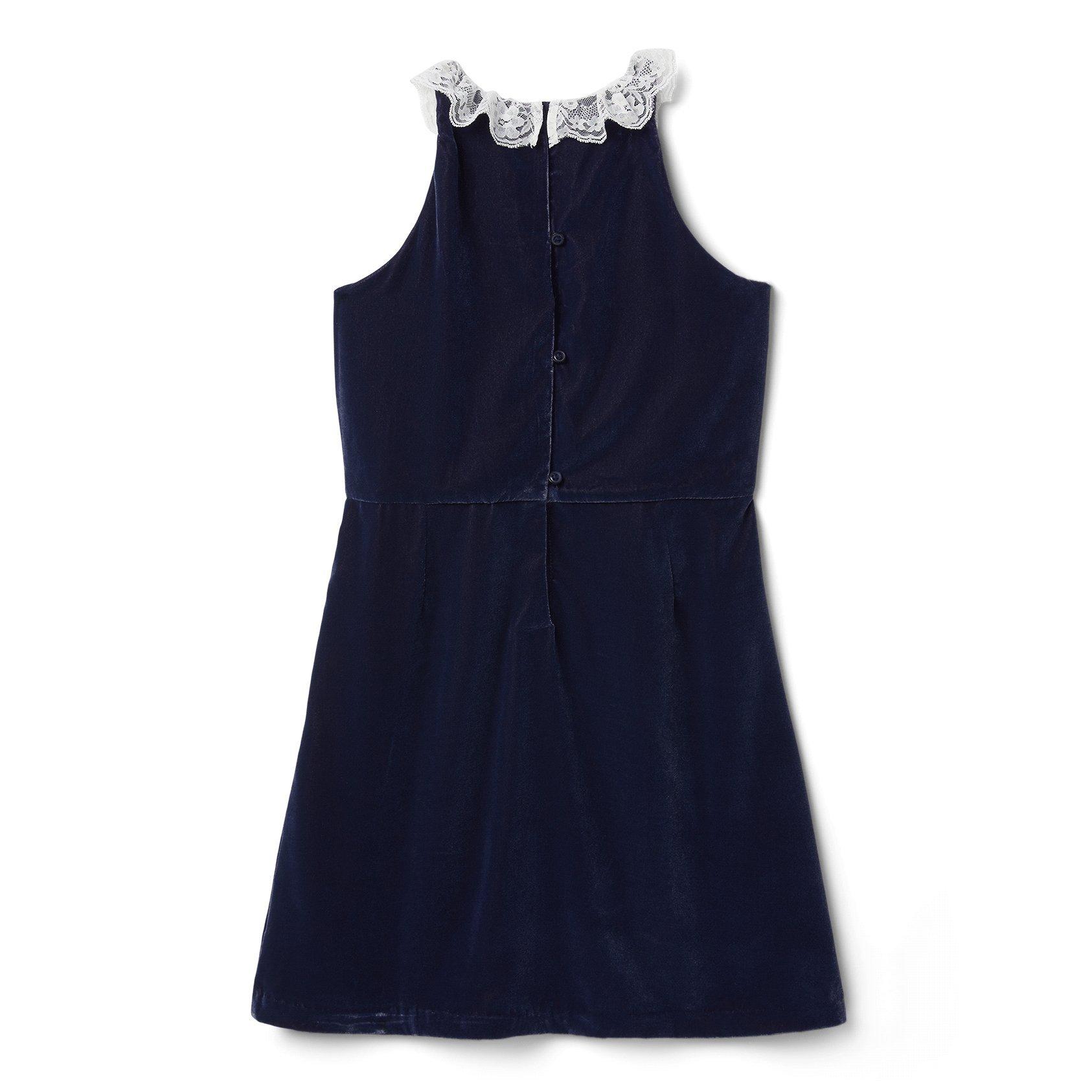 Velvet Lace Collar Dress image number 3