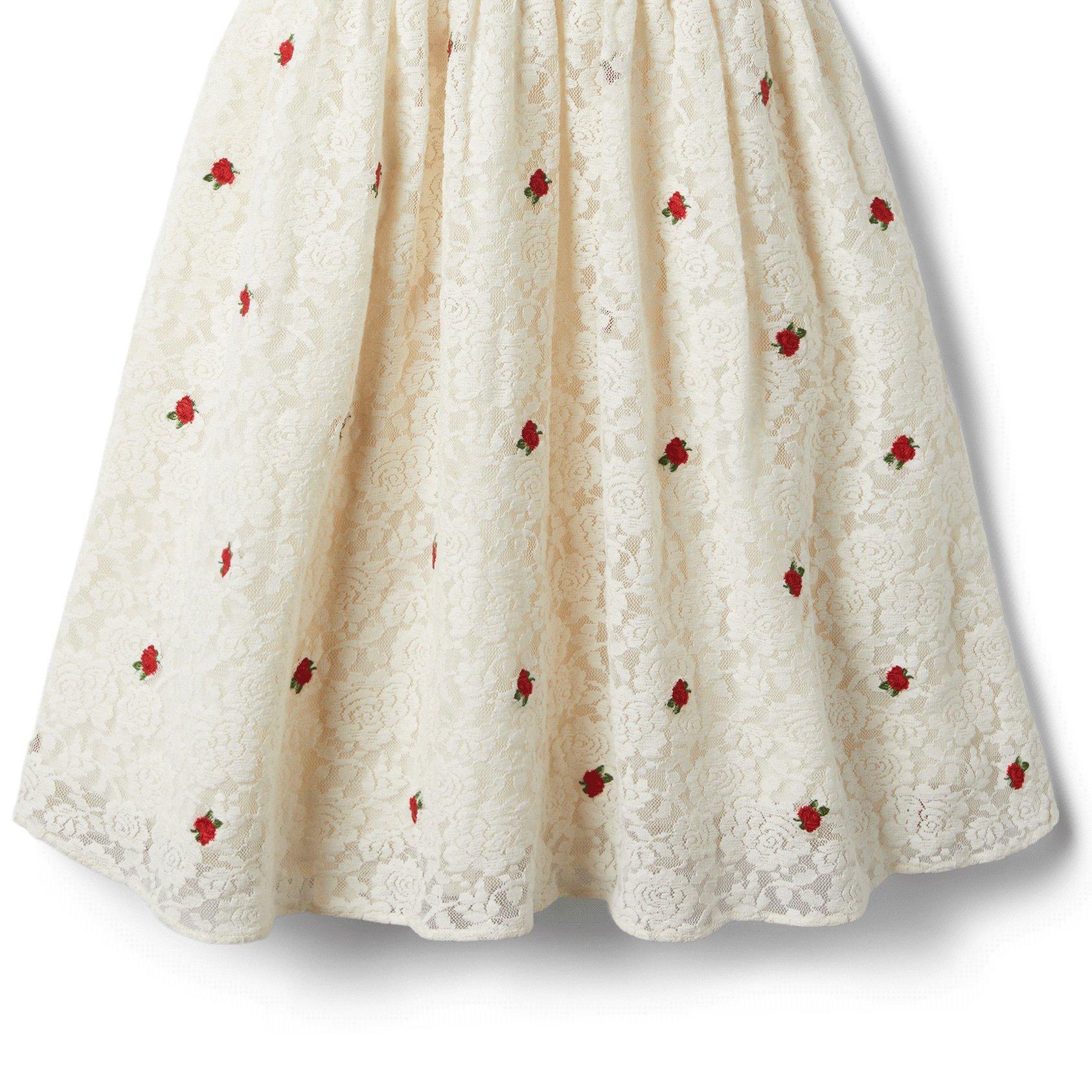 Lace Embroidered Rose Puff Sleeve Dress image number 3