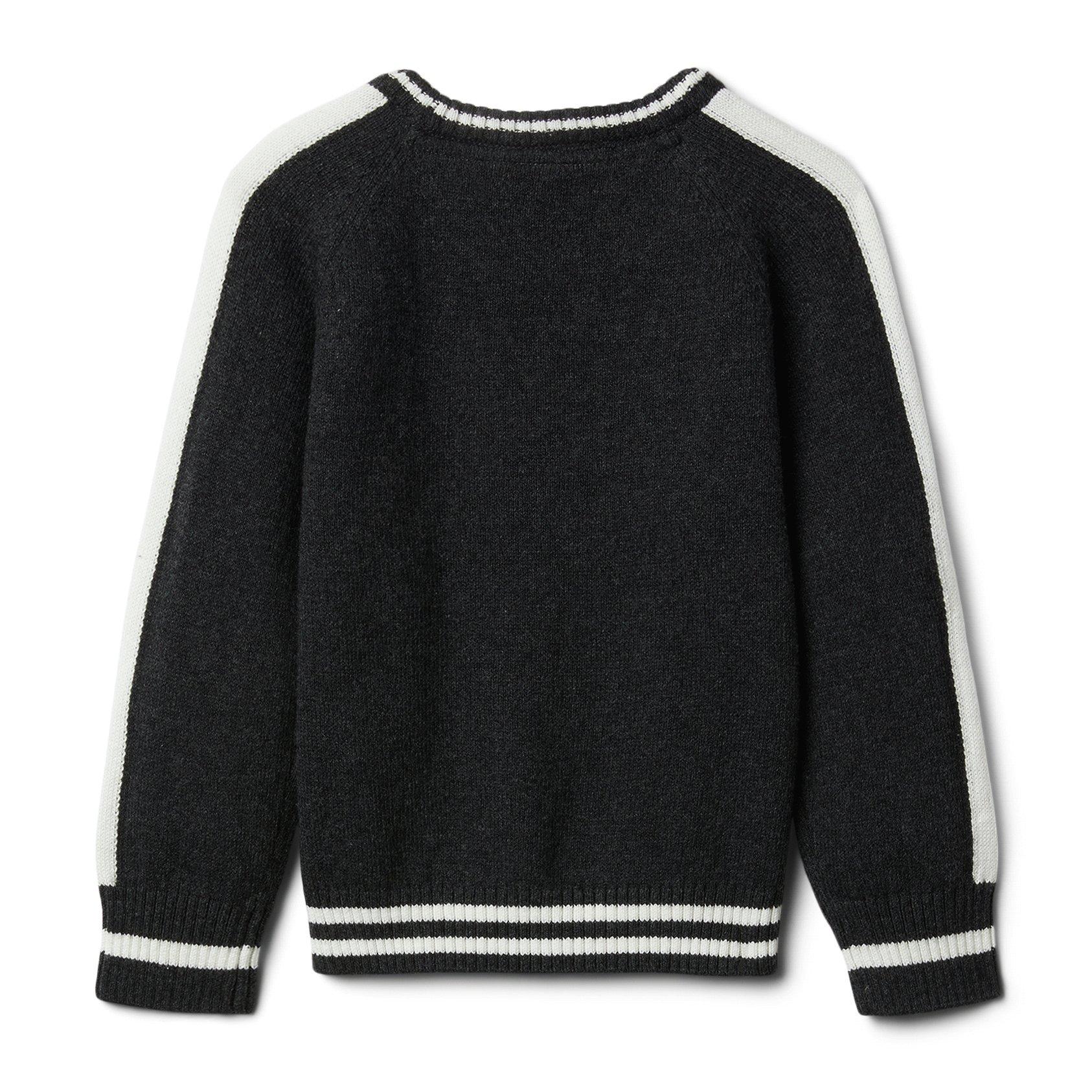 Tiger Raglan Sleeve Sweater image number 1