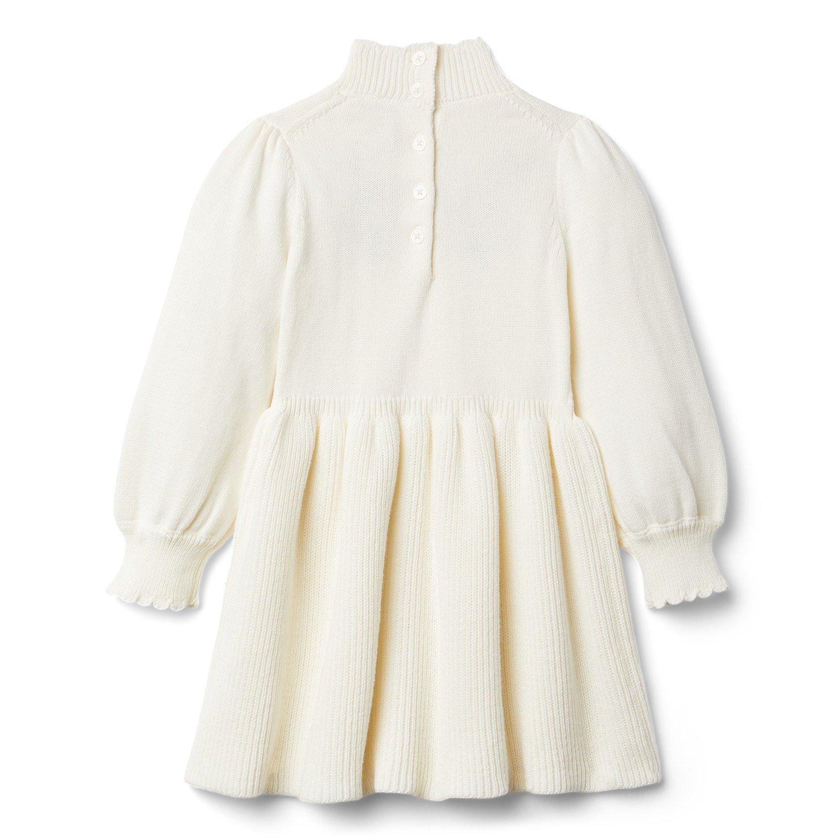 Floral Embroidered Sweater Dress image number 1