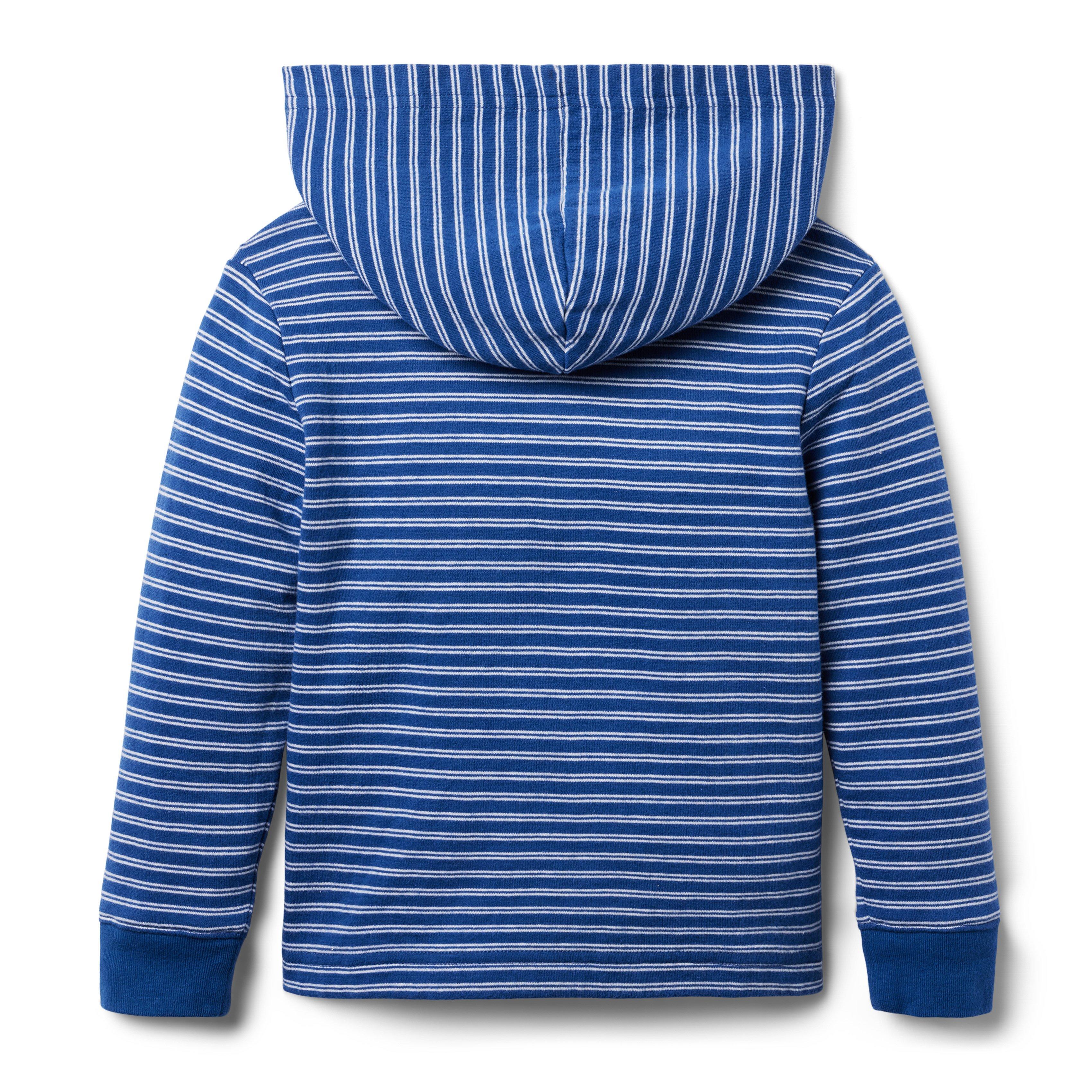 Striped Hooded Jersey Sweatshirt image number 1