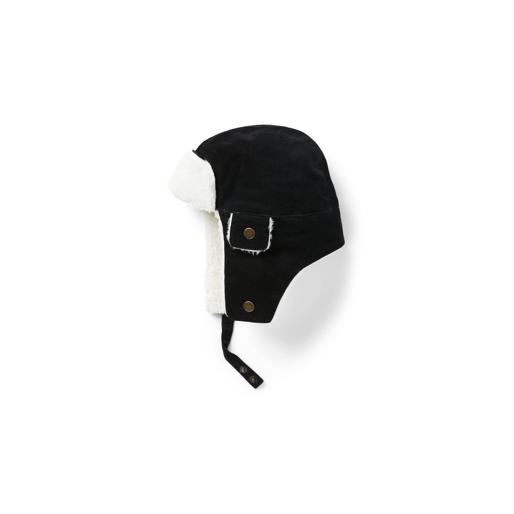 Sherpa-Lined Trapper Hat image number 0