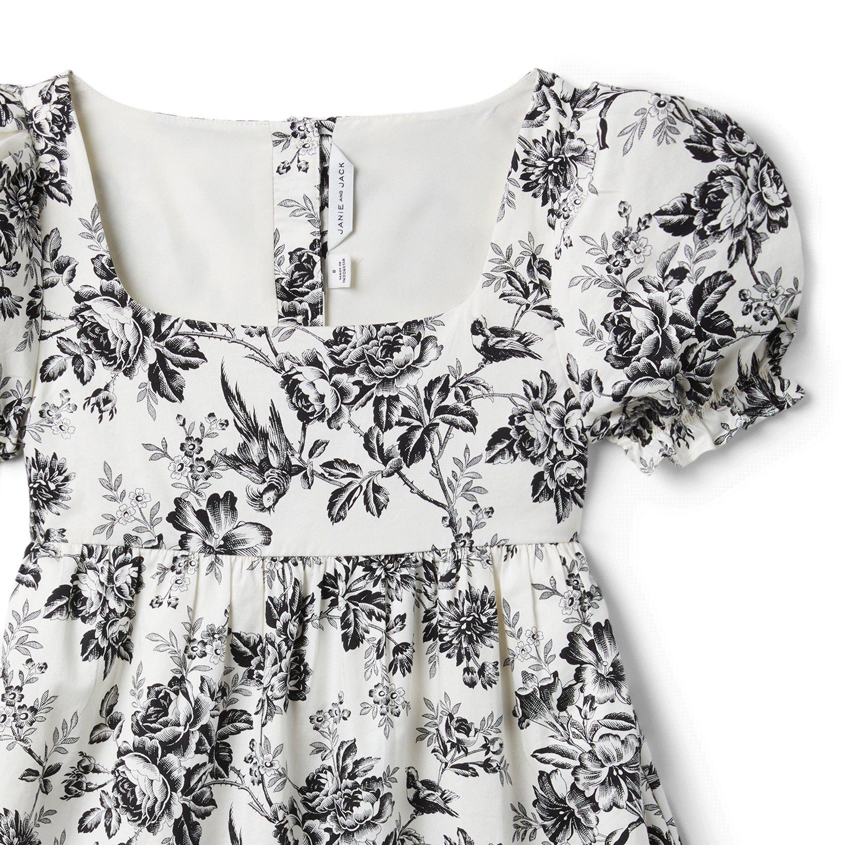 Toile Puff Sleeve Dress image number 2