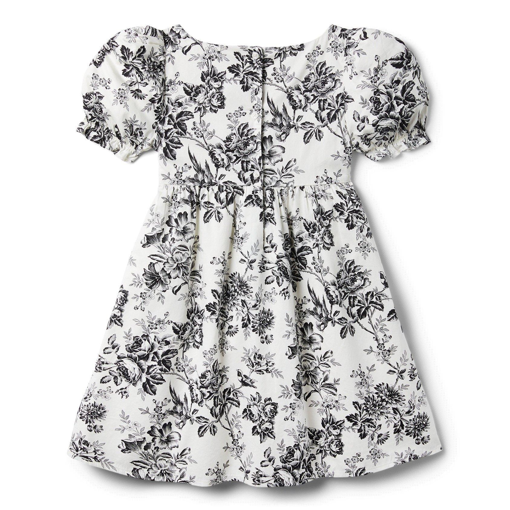 Toile Puff Sleeve Dress image number 4