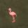 Dark Sage Flamingo