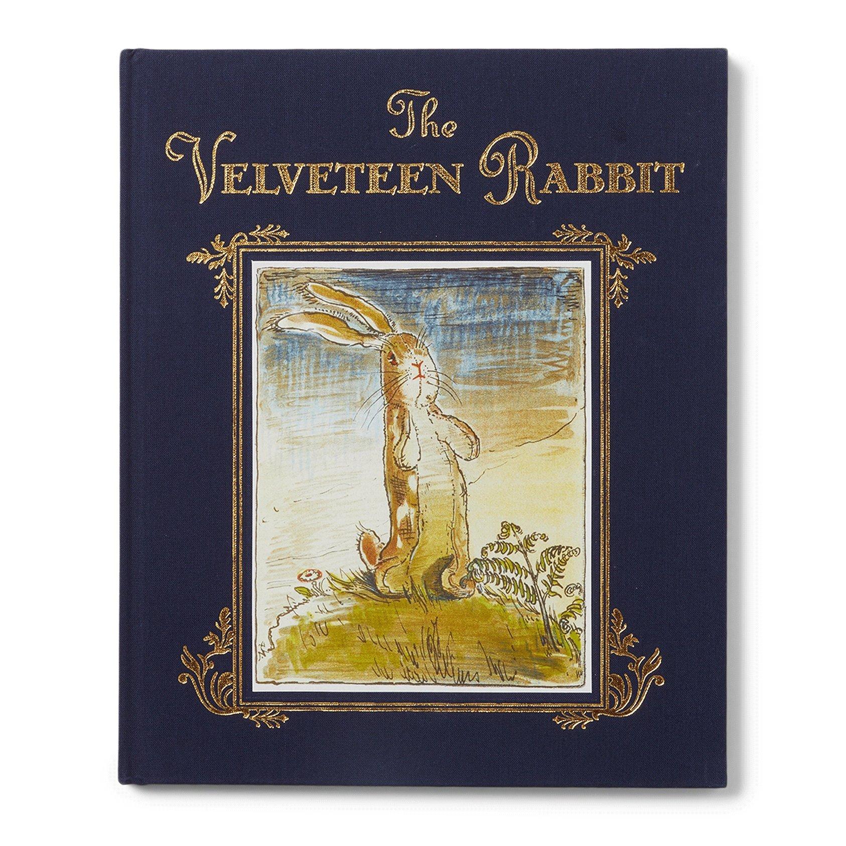 The Velveteen Rabbit Book image number 0