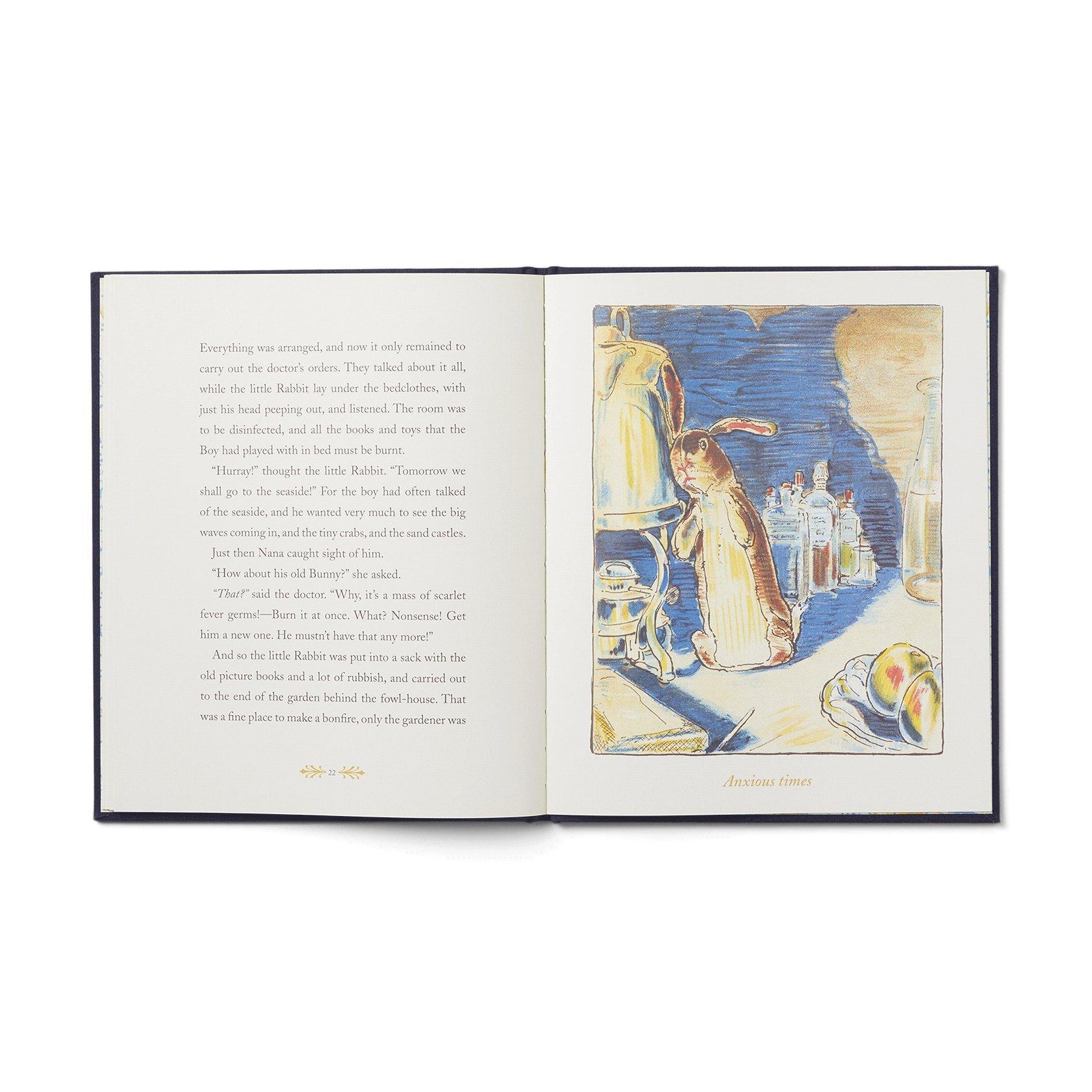 The Velveteen Rabbit Book image number 1