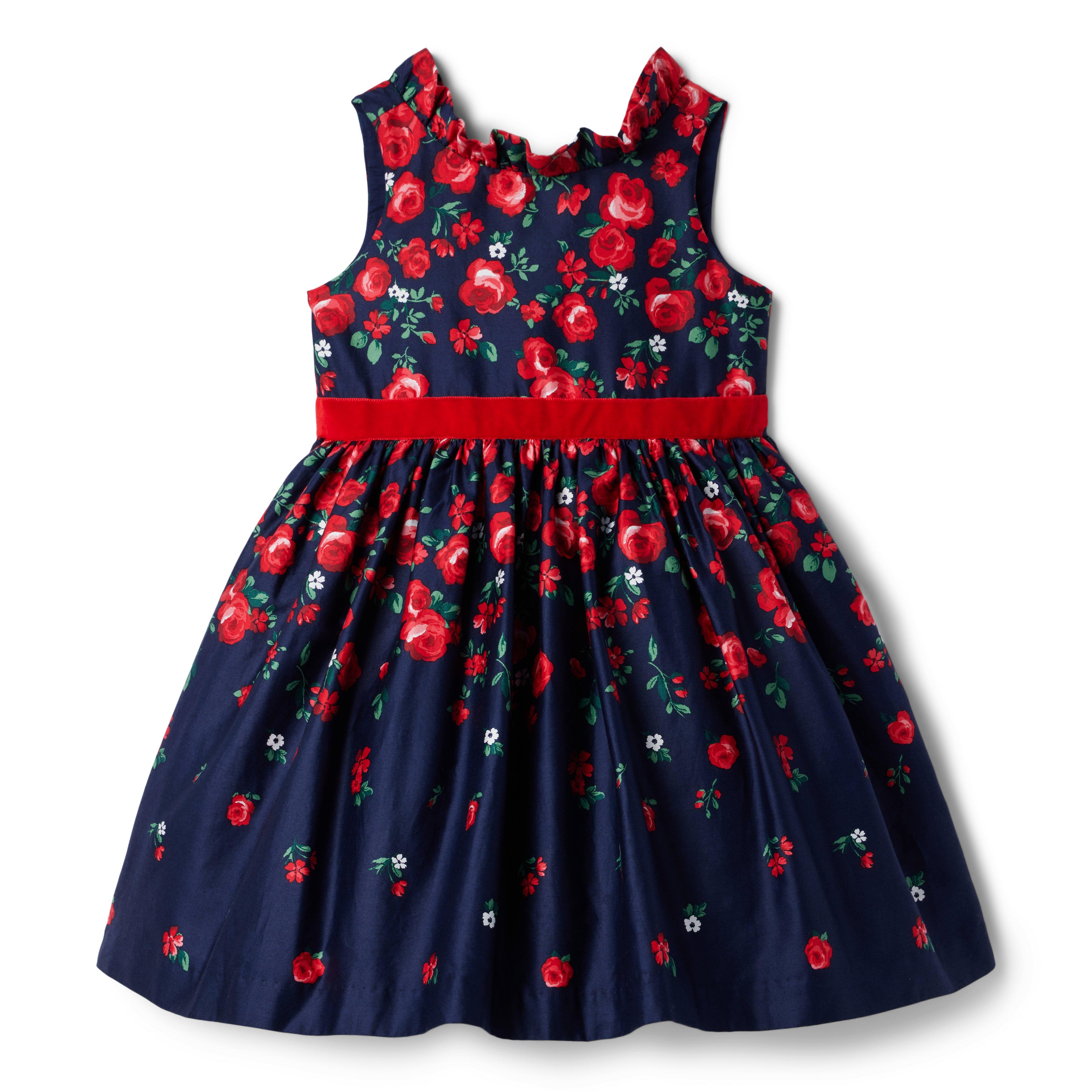 American Girl® x Janie and Jack Wrapped In Roses Party Dress