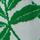 Brilliant Green Palm Leaf Print