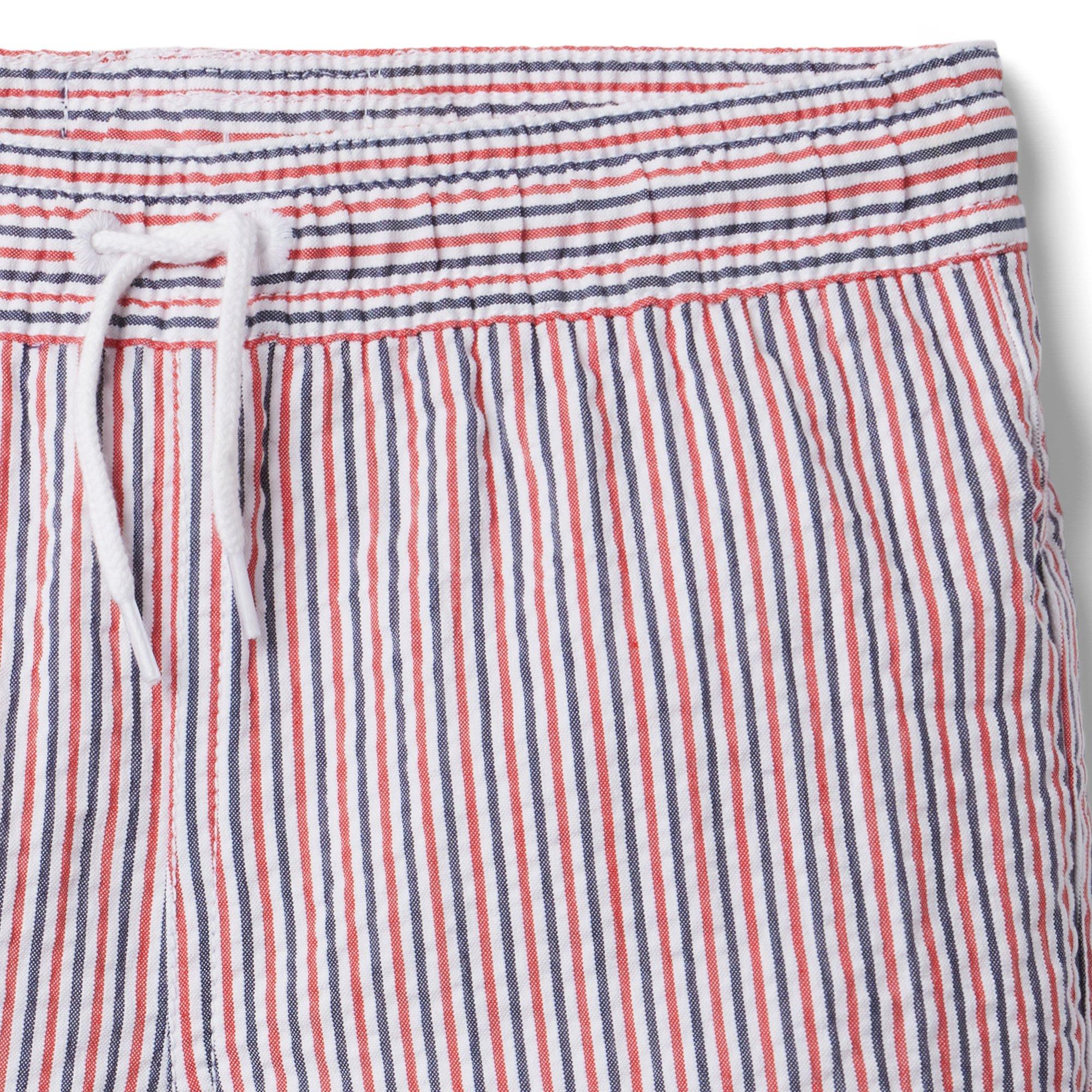 Striped Seersucker Swim Trunk image number 2