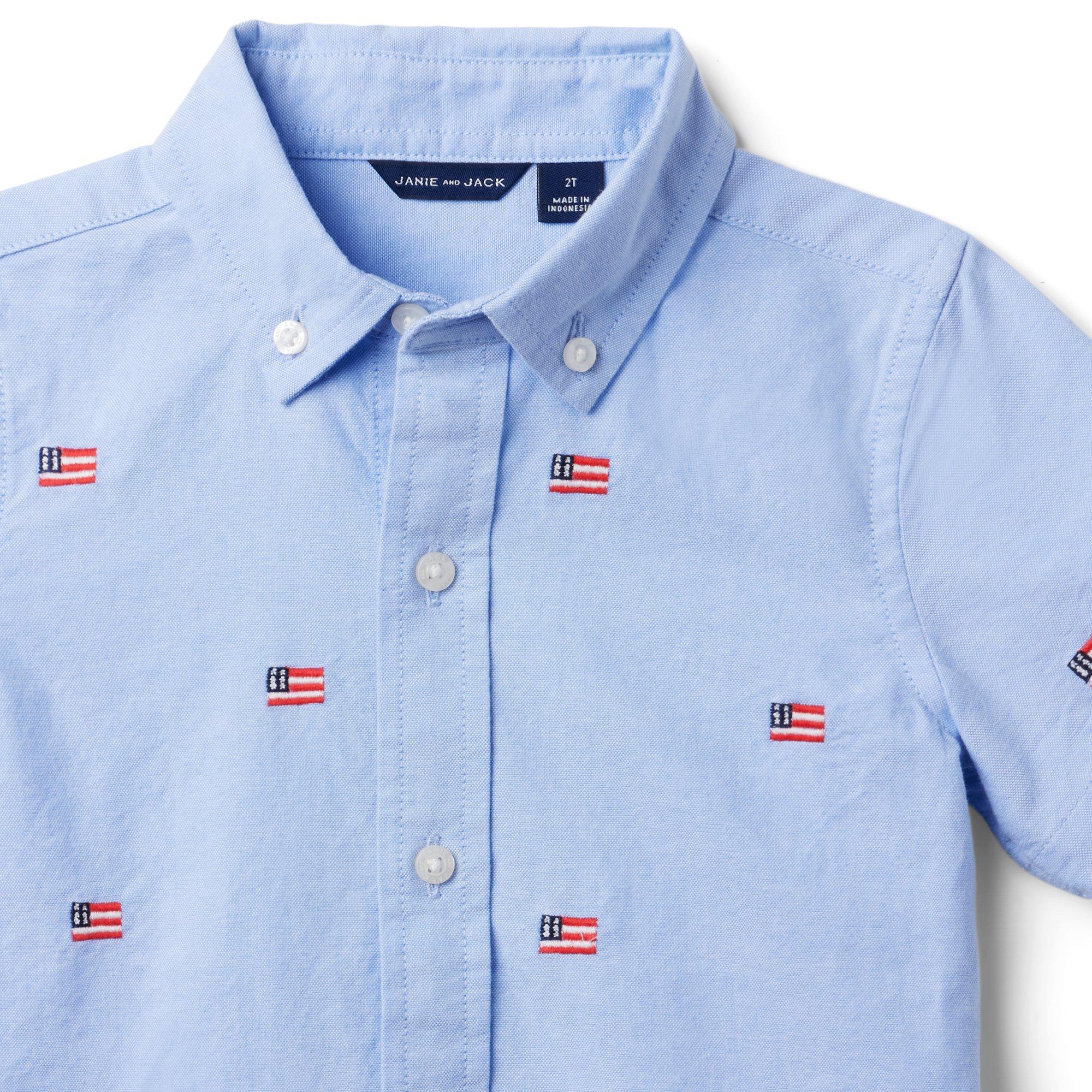 Embroidered Flag Oxford Shirt image number 2