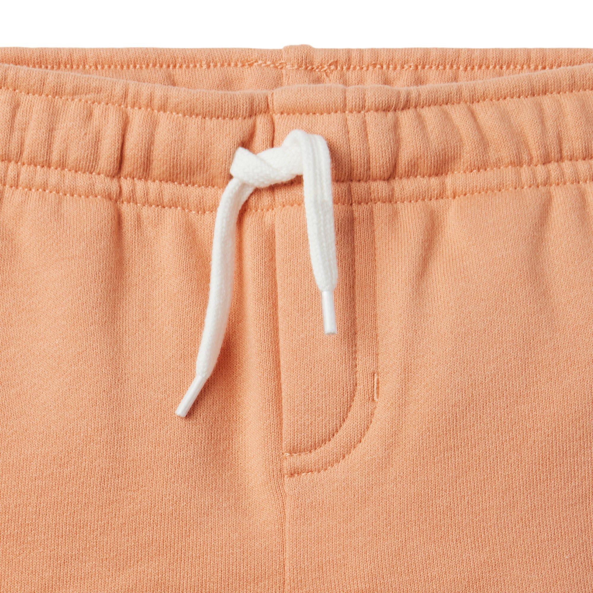 French Terry Pull-On Short image number 2