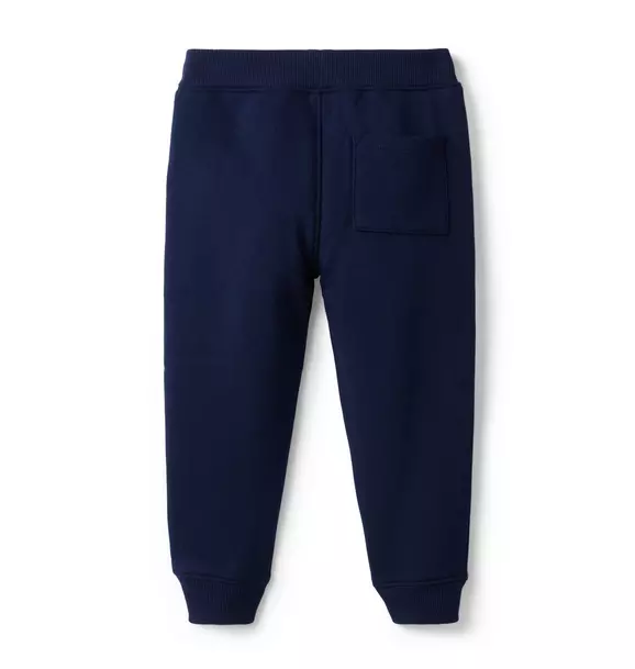 Colorblocked French Terry Jogger image number 1