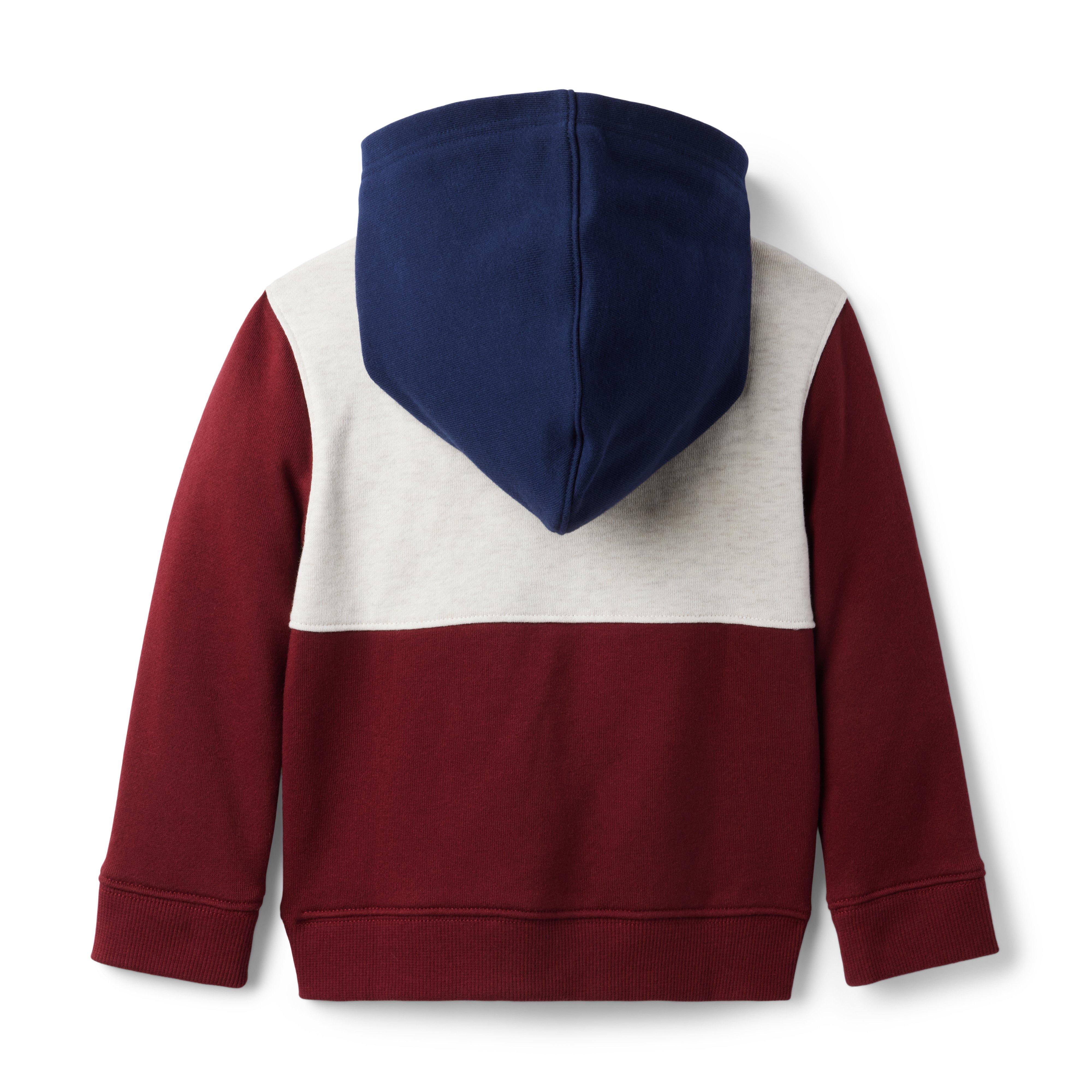 Colorblocked Hooded French Terry Sweatshirt image number 1