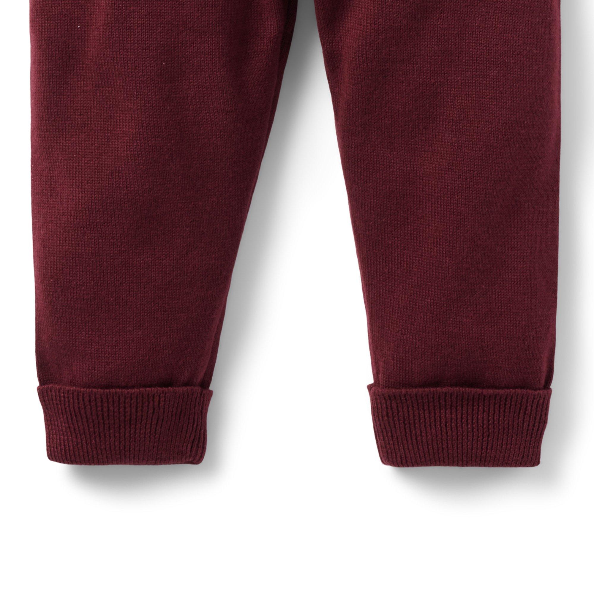 Baby Cuffed Sweater Pant image number 1