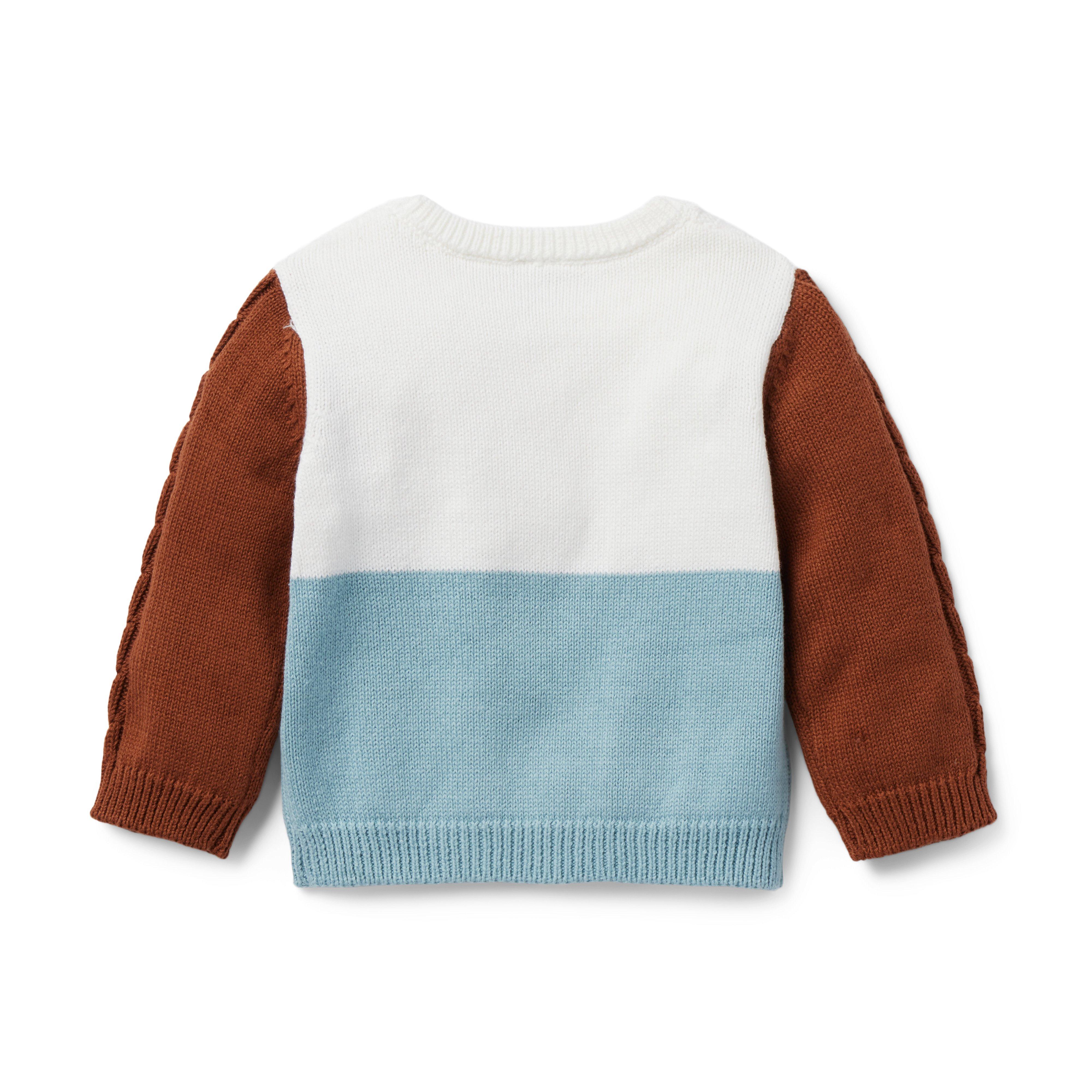 Baby Colorblocked Cable Knit Sweater image number 1