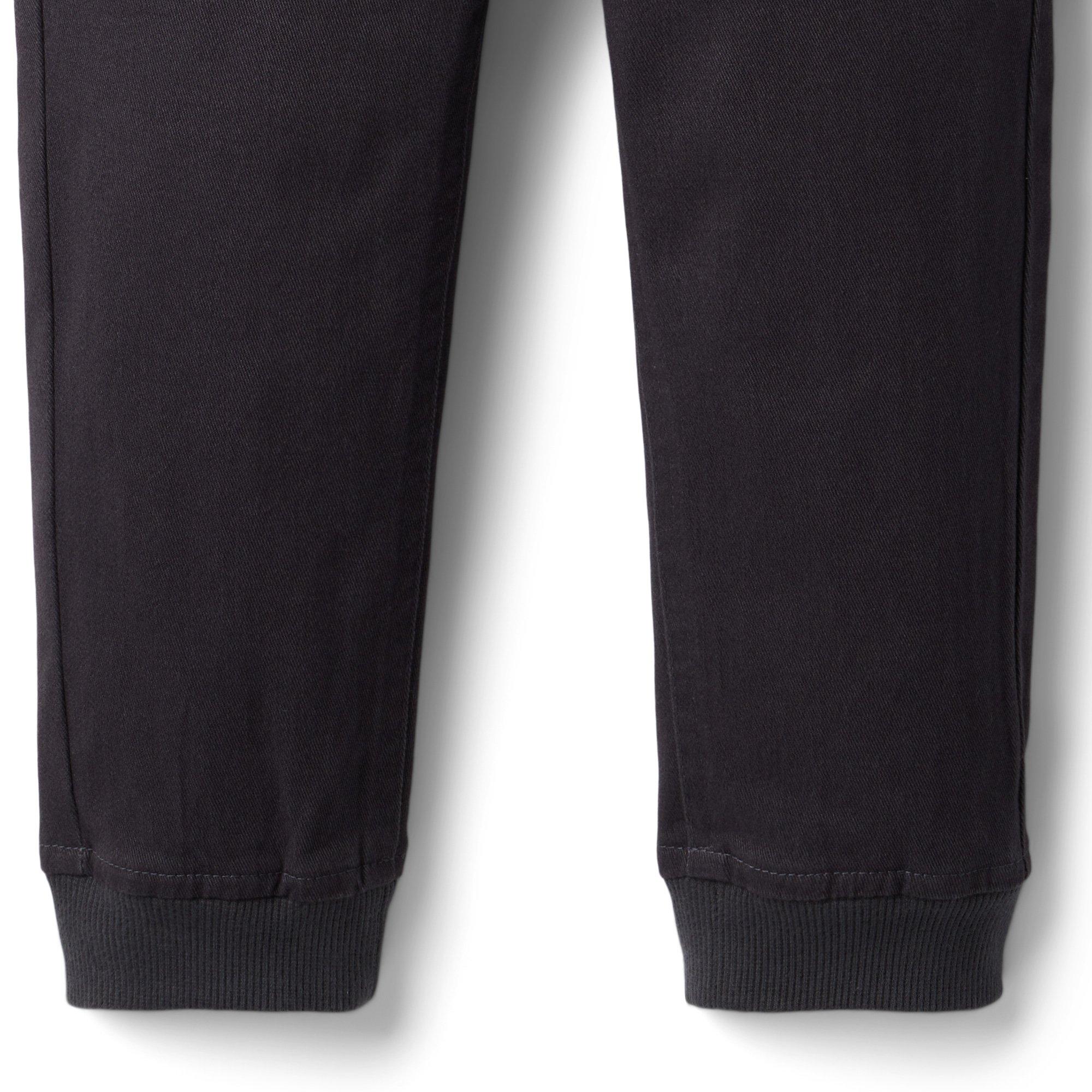 Twill Pull-On Jogger image number 2