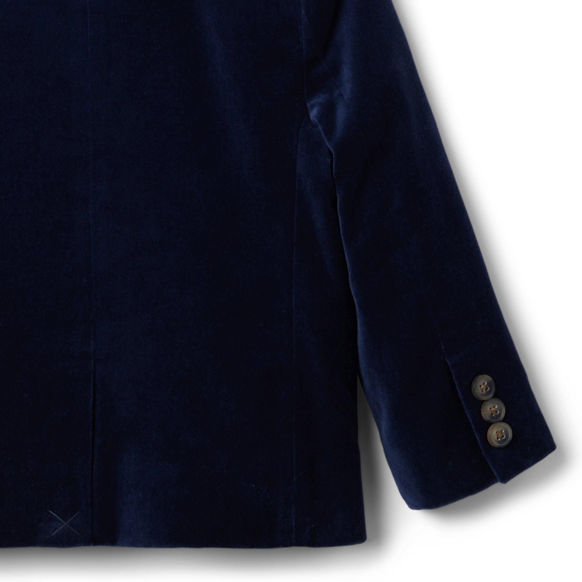 Velvet Blazer image number 4