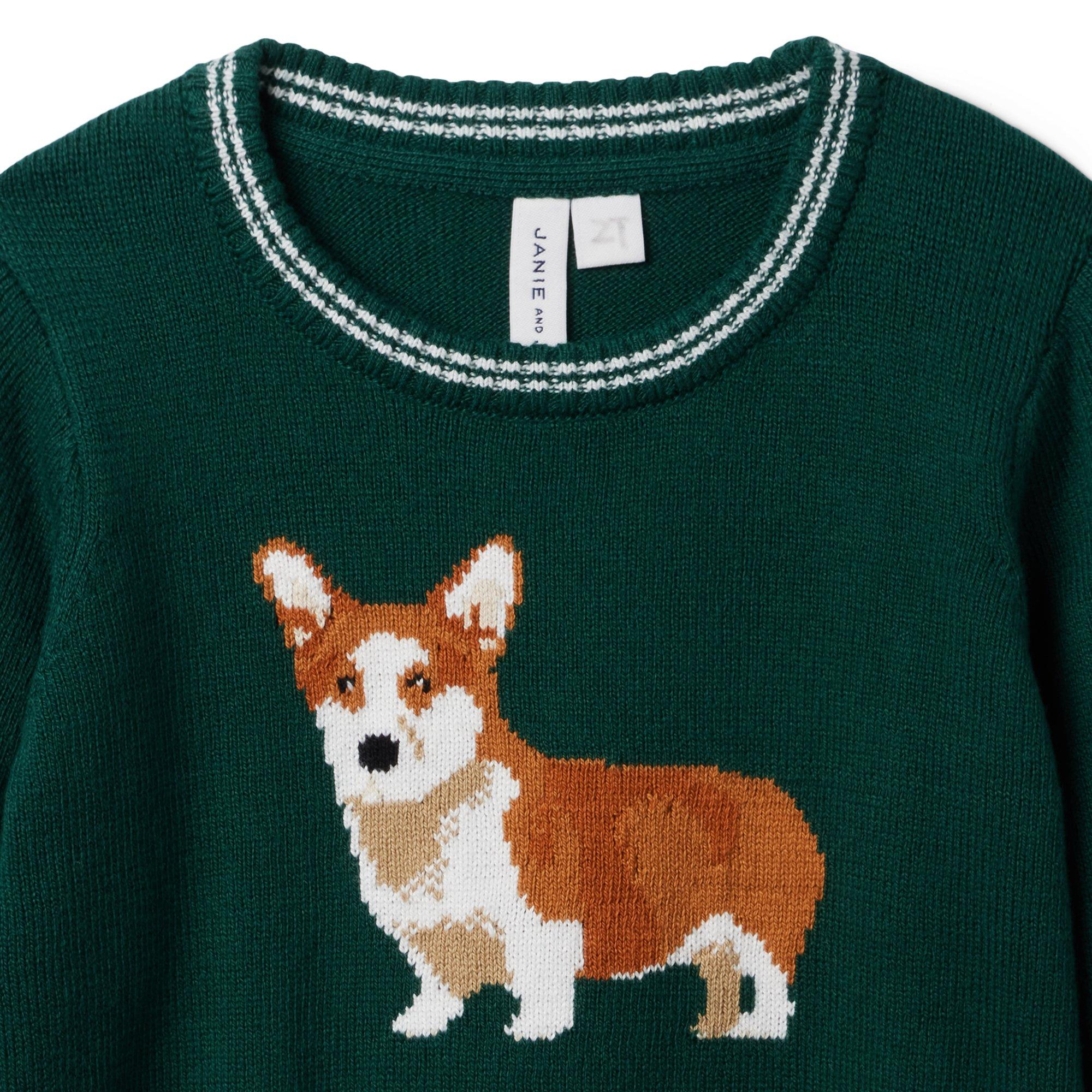 Corgi on sale in sweater