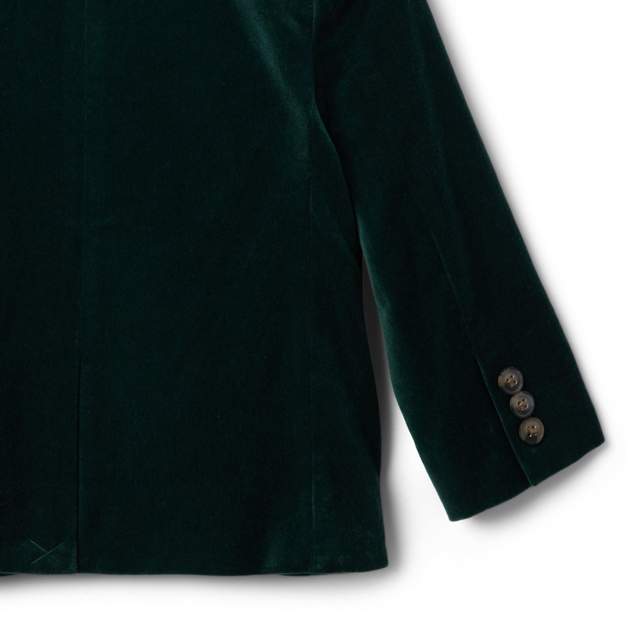 Velvet Blazer image number 4