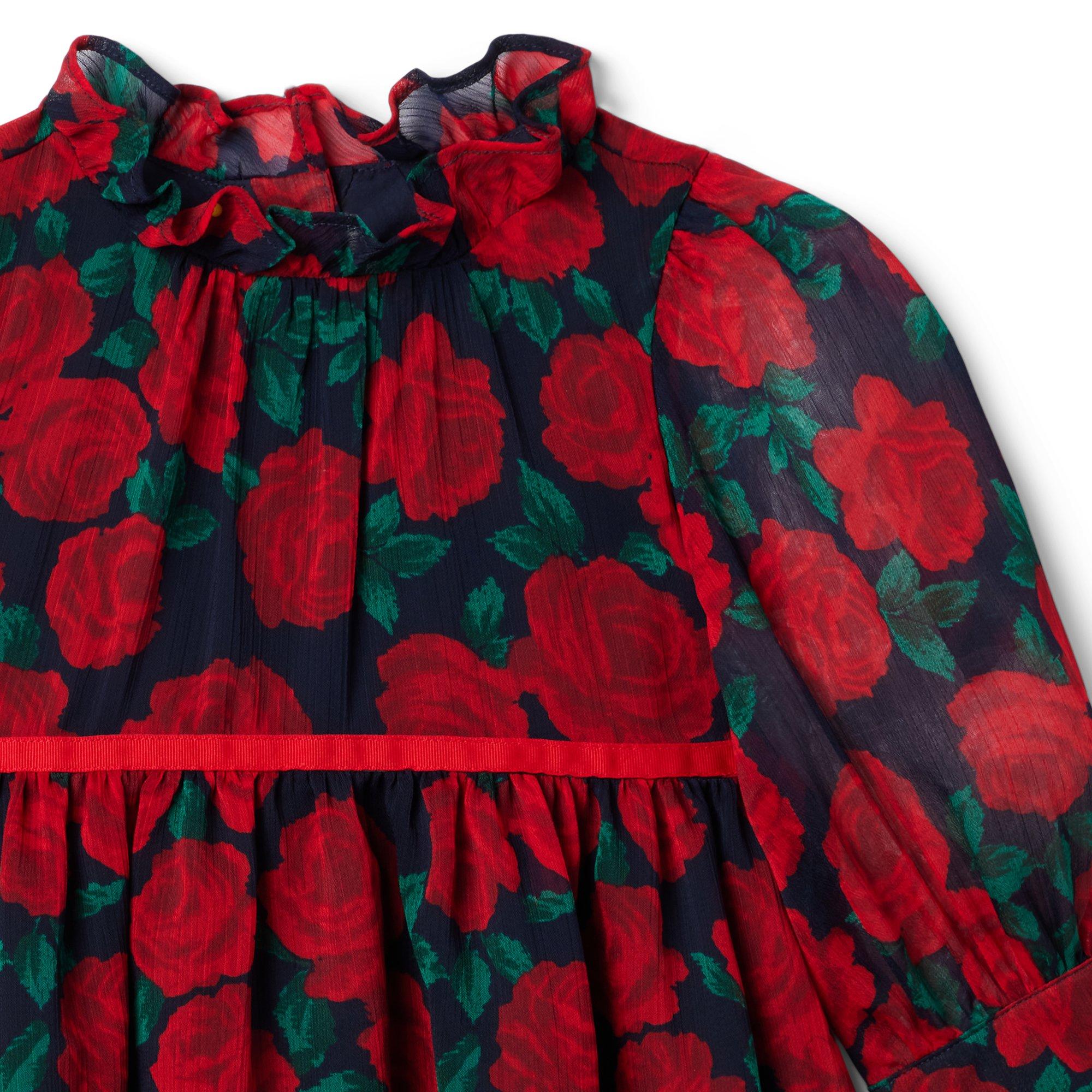 Rose Chiffon Dress image number 6