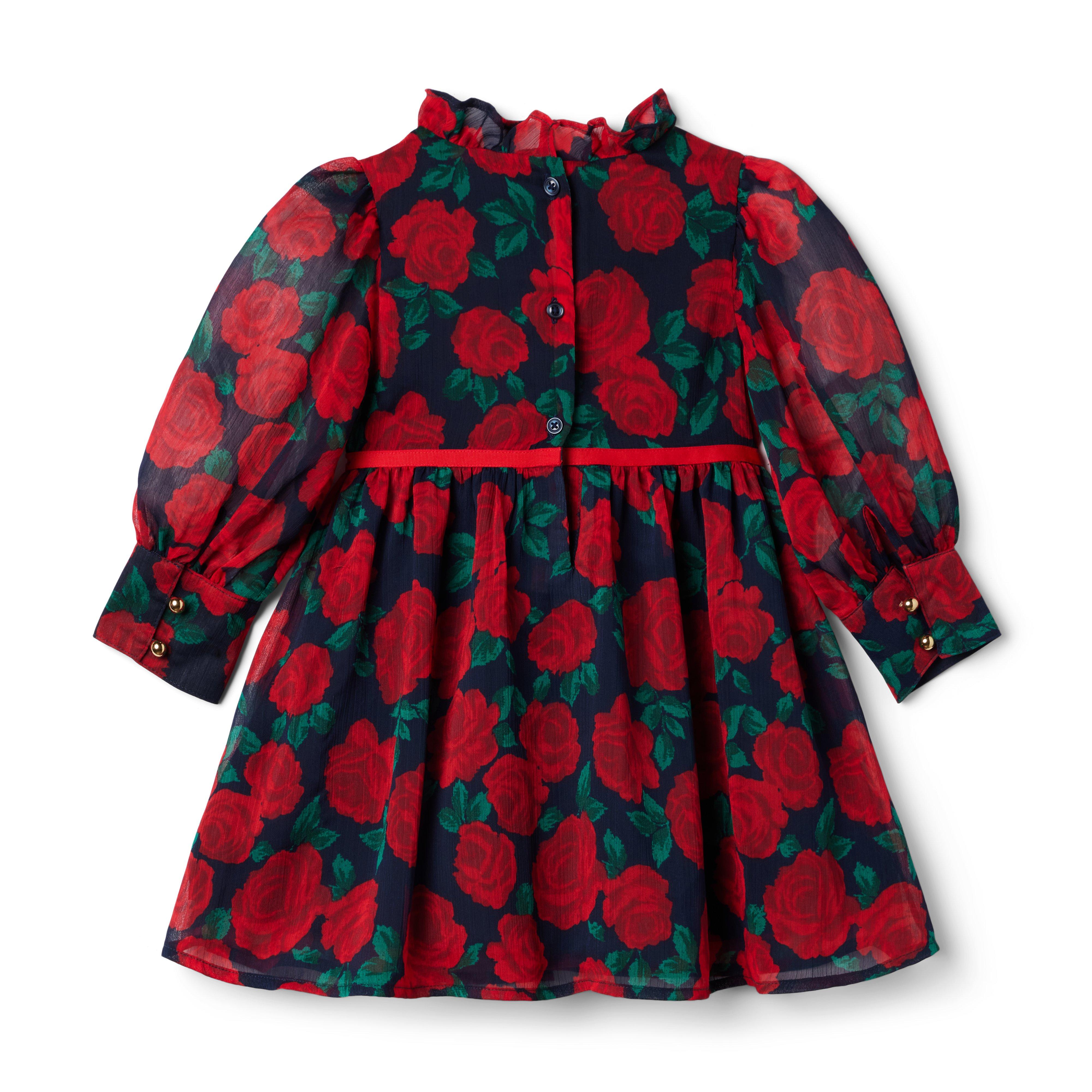 Rose Chiffon Dress image number 4