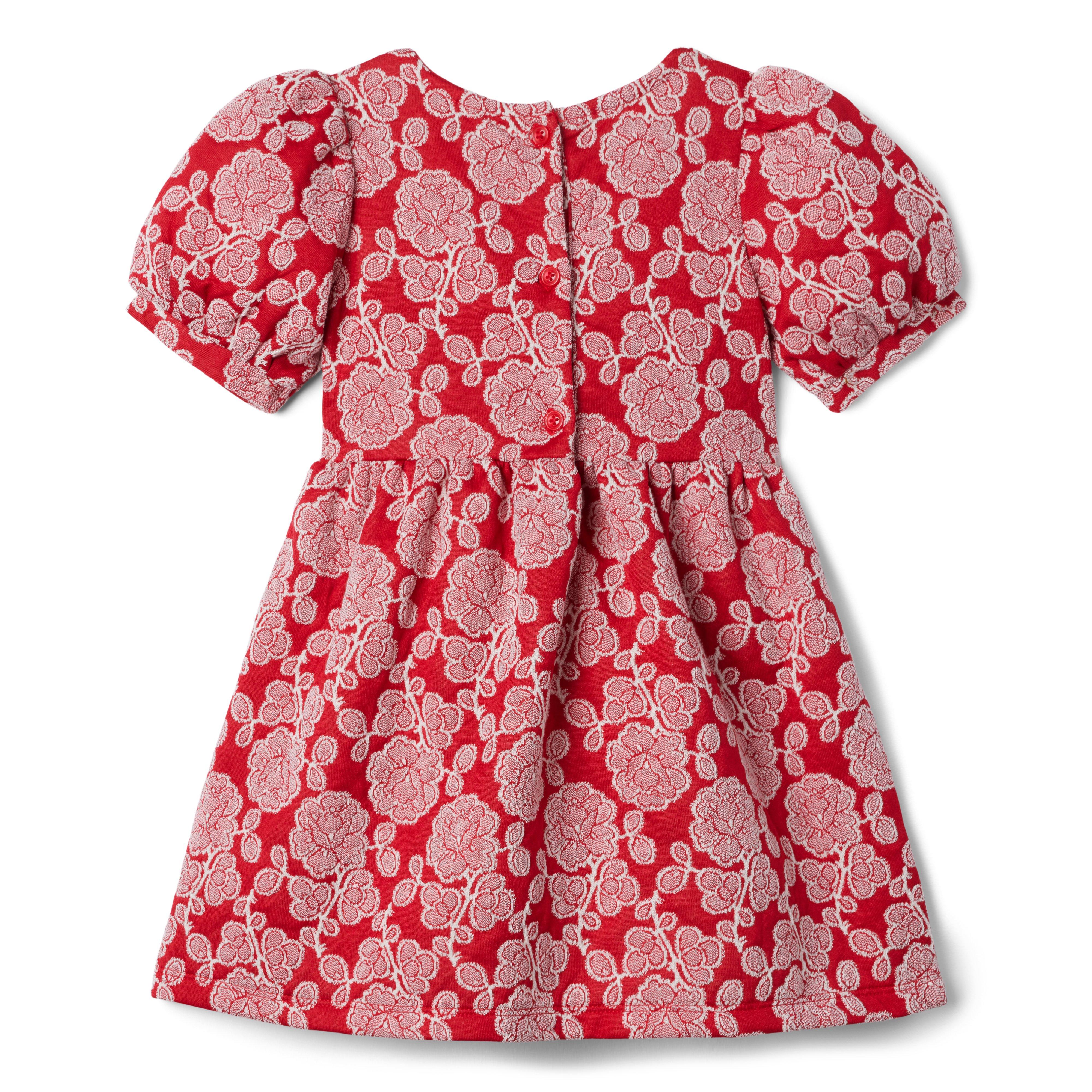 Rose Jacquard Eyelet Ruffle Dress  image number 1
