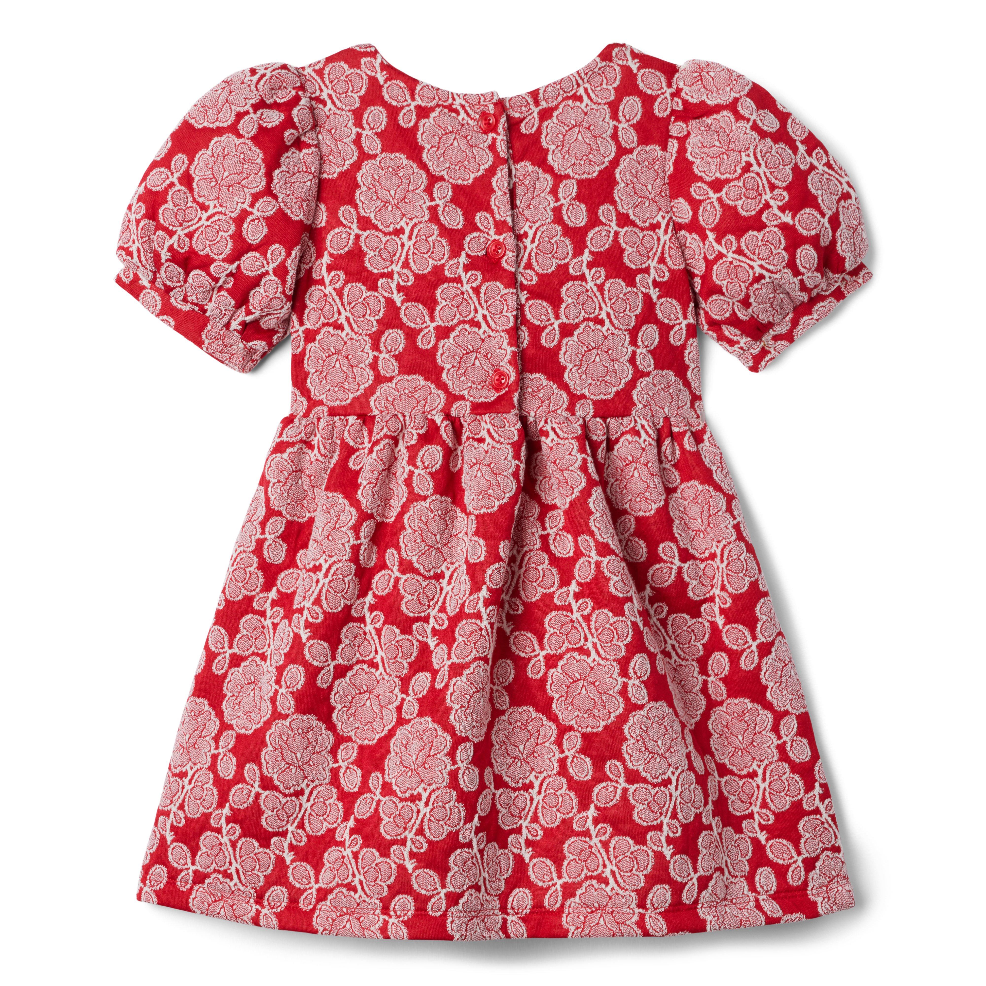 Girl Bradbury Red Rose Print Rose Jacquard Eyelet Ruffle Dress by Janie and  Jack