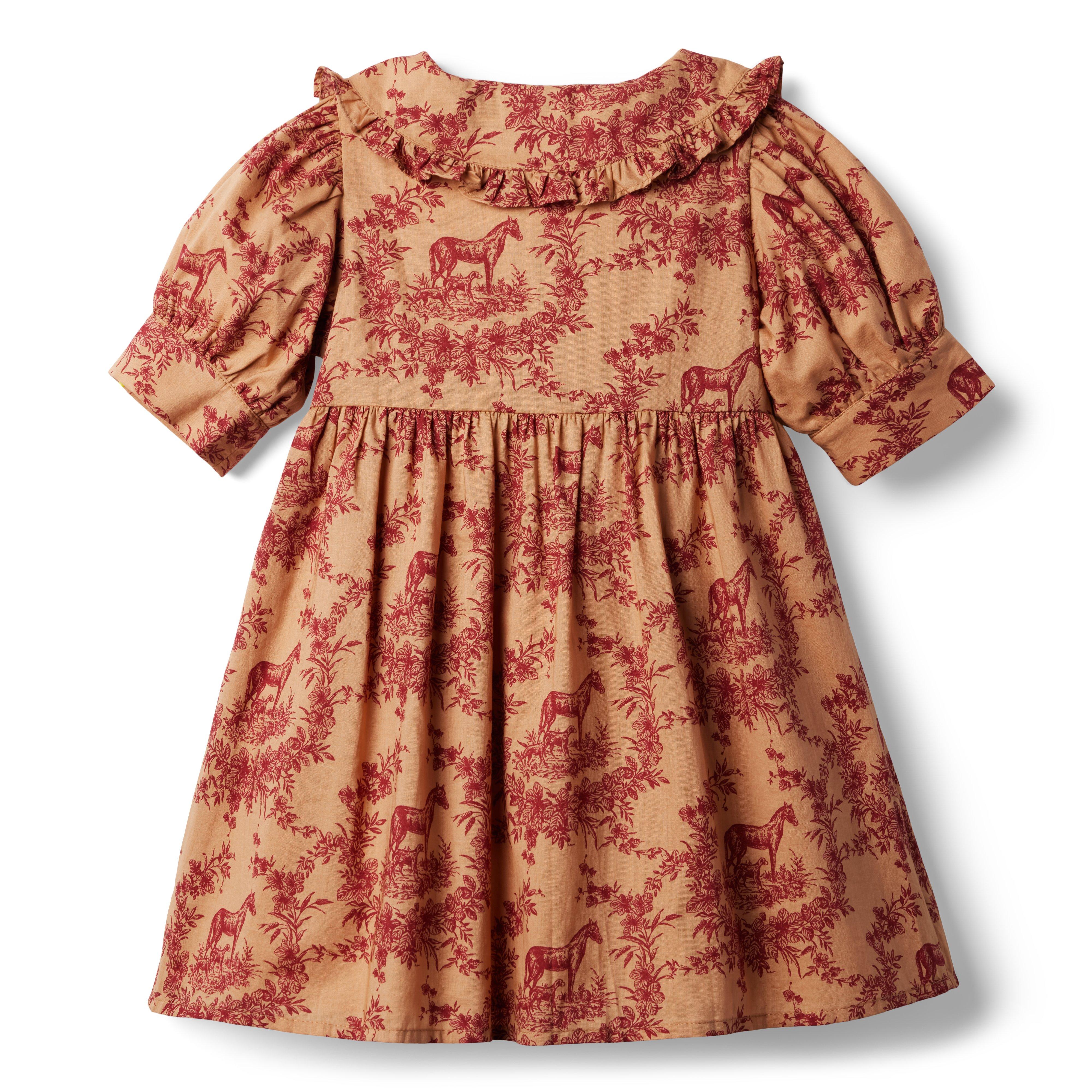Floral Equestrian Ruffle Collar Dress  image number 1
