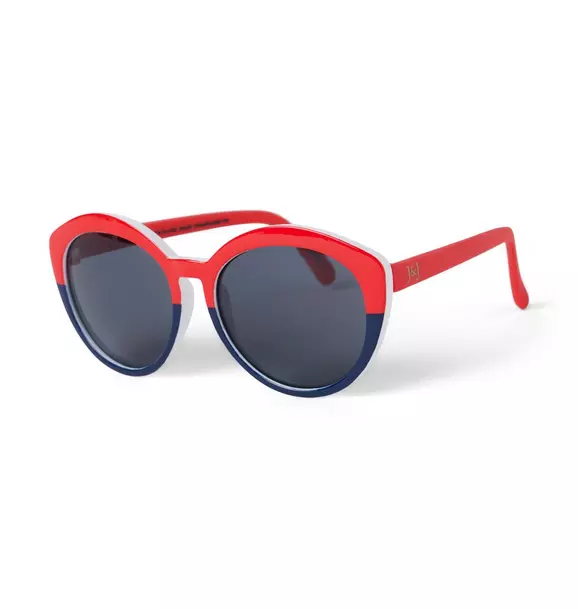 Colorblocked Sunglasses image number 1