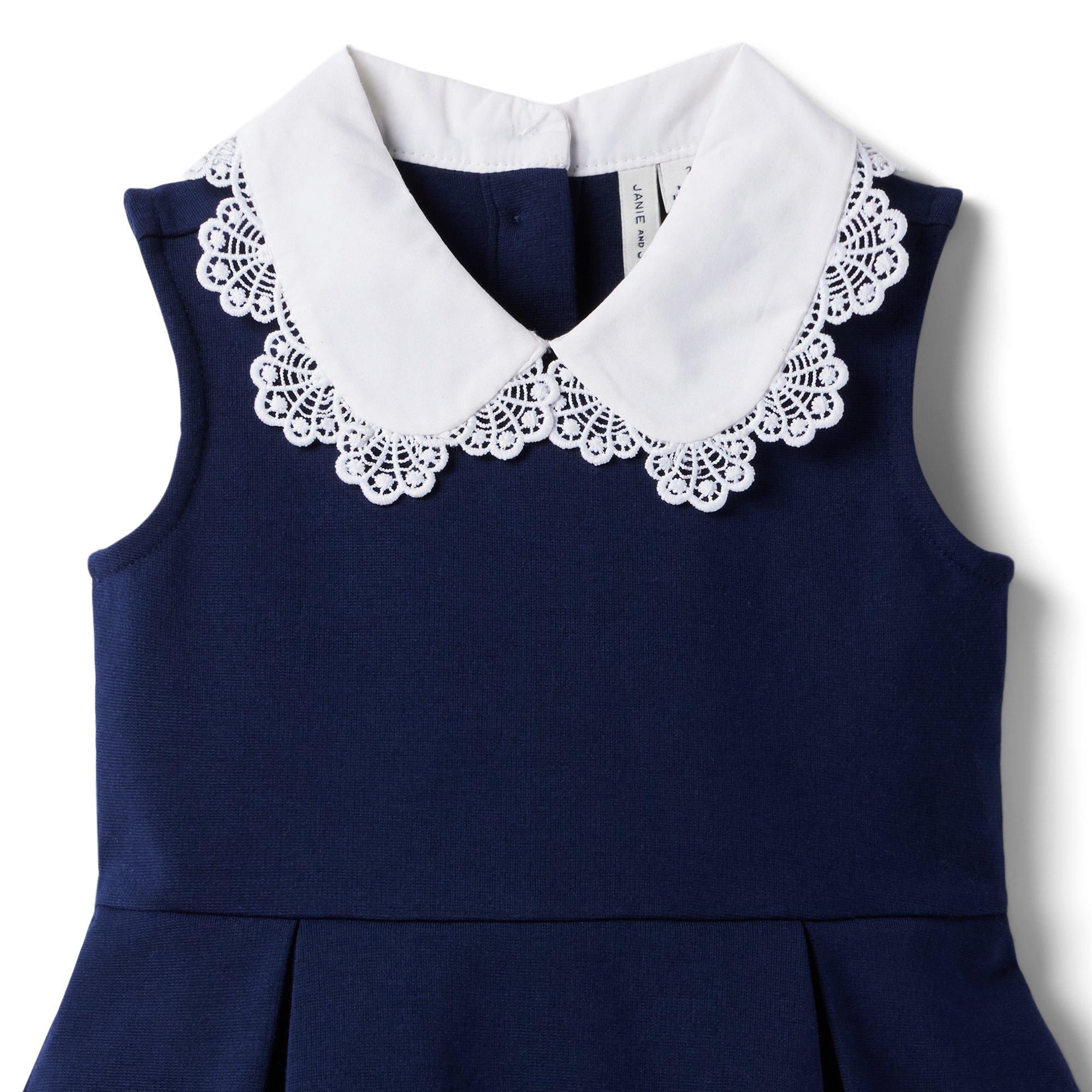 Lace Collar Ponte Dress image number 2
