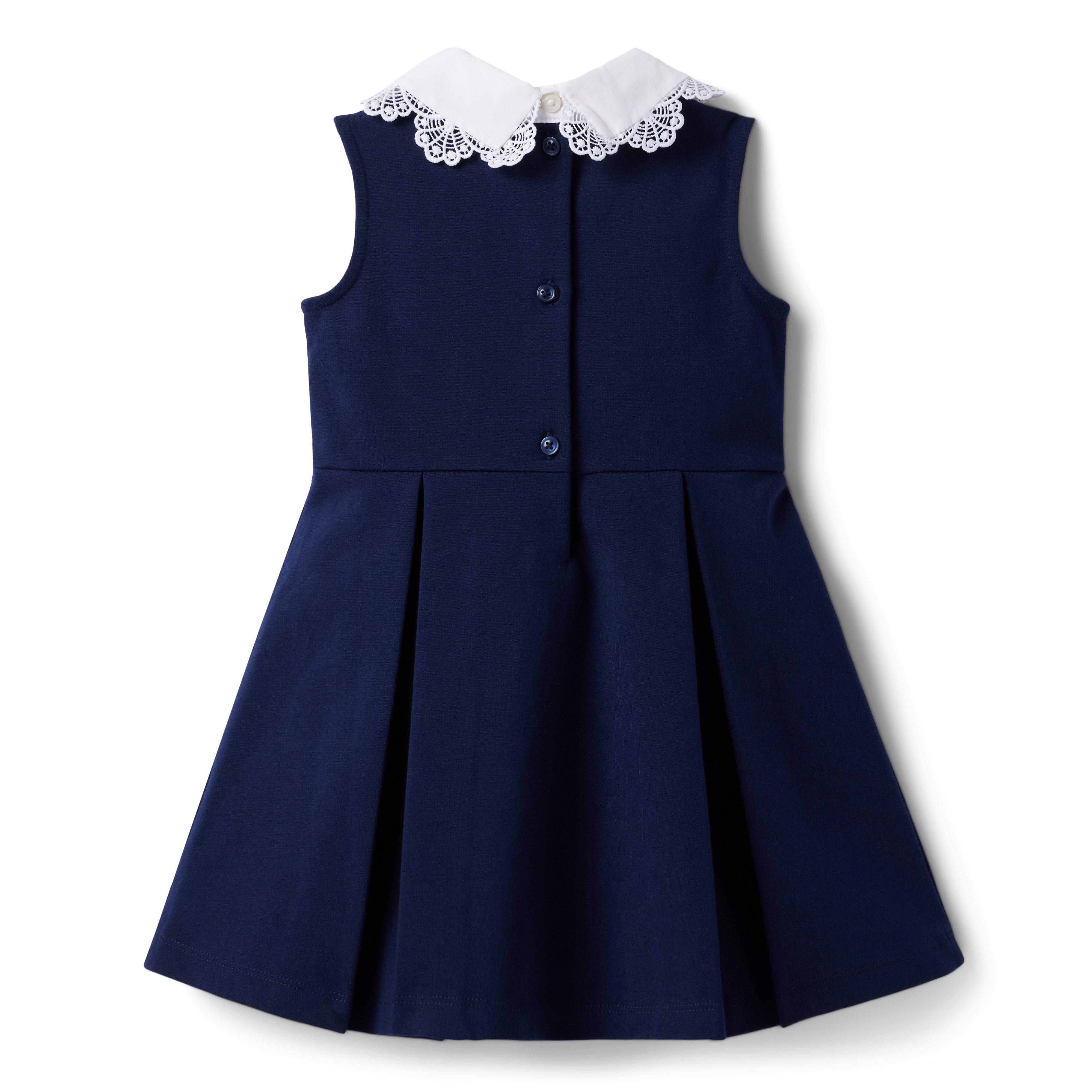 Lace Collar Ponte Dress image number 1