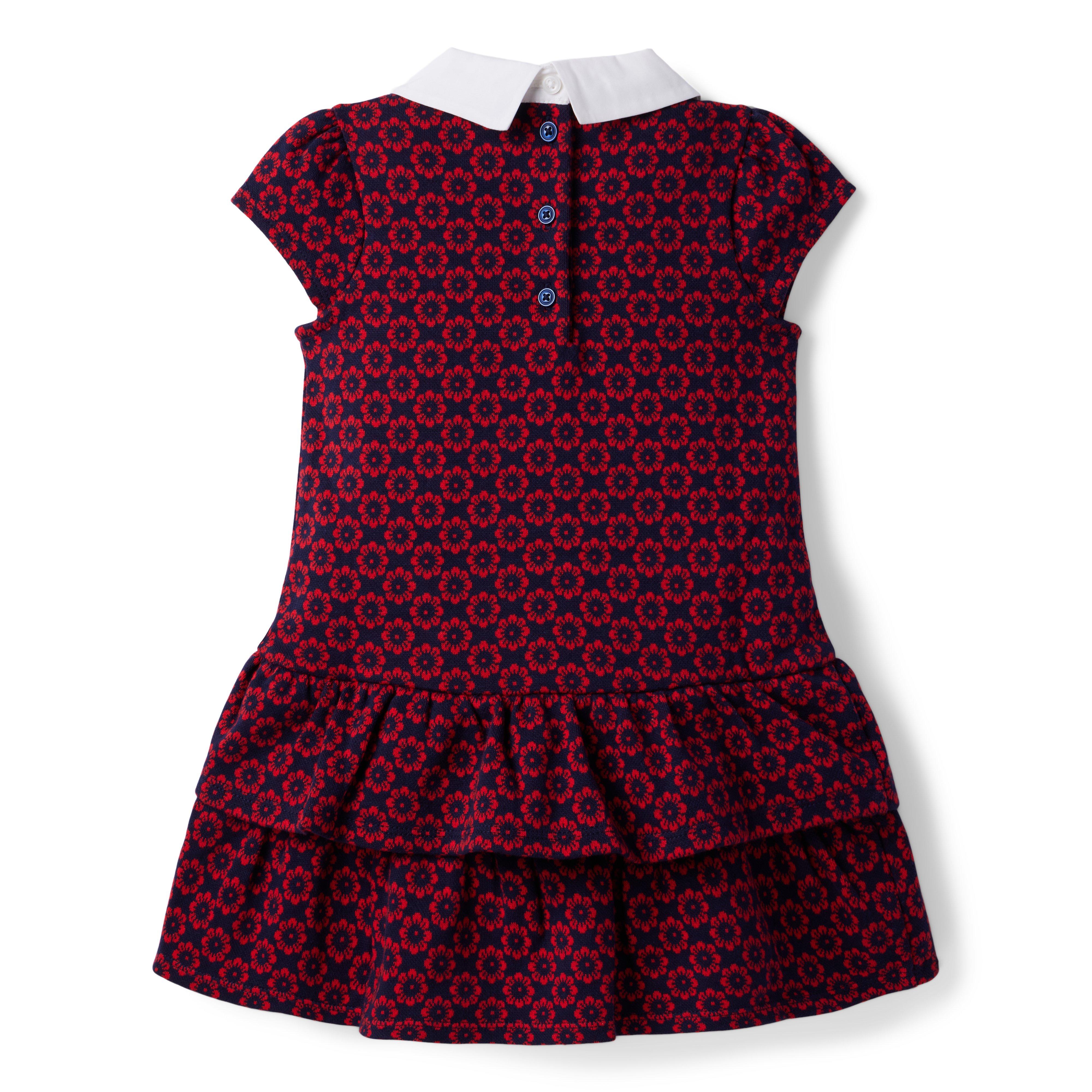 Floral Drop Waist Jacquard Dress image number 1